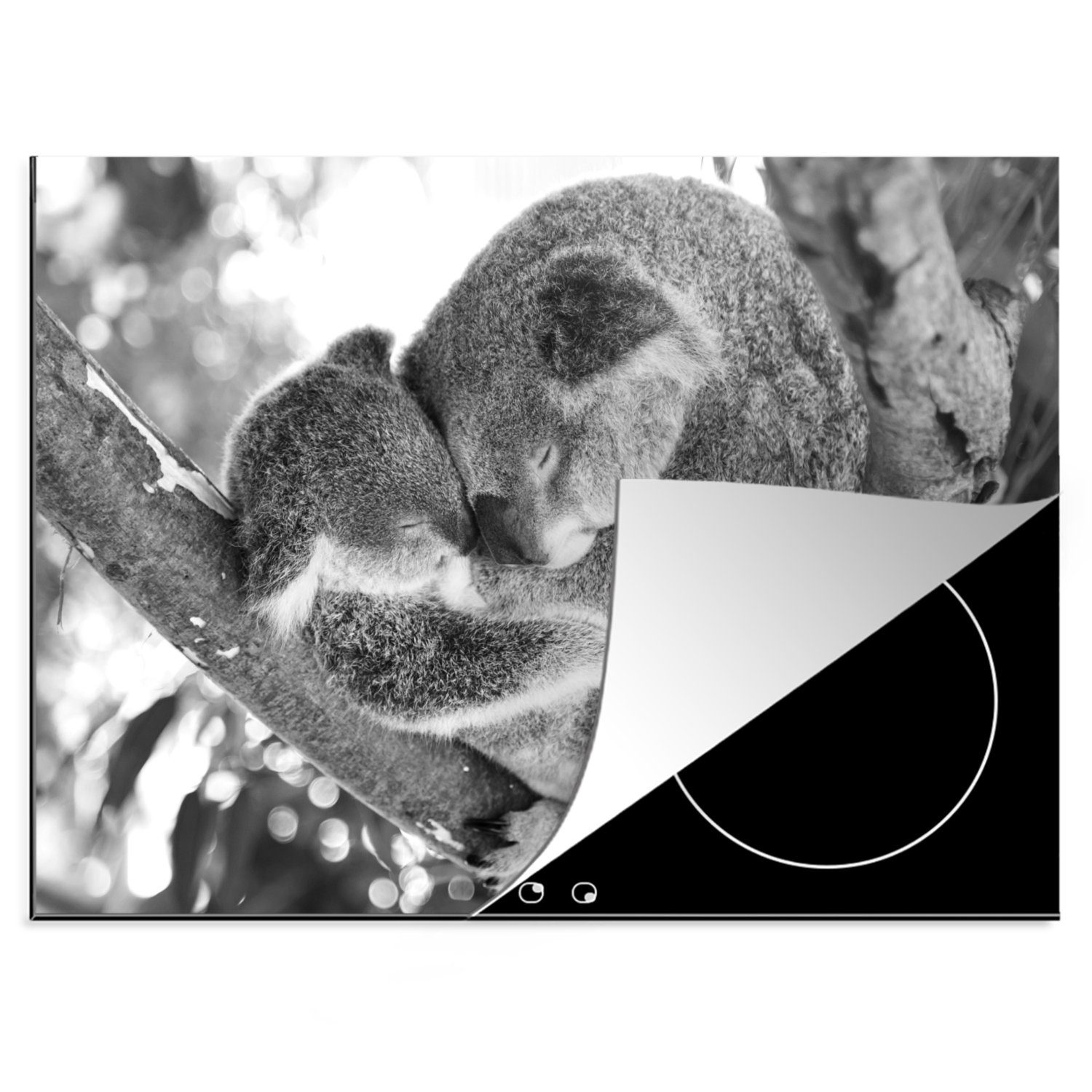 MuchoWow Herdblende-/Abdeckplatte Koalas - Plüschtier - Tiere - Kinder - Jungen - Mädchen, Vinyl, (1 tlg), 70x52 cm, Mobile Arbeitsfläche nutzbar, Ceranfeldabdeckung