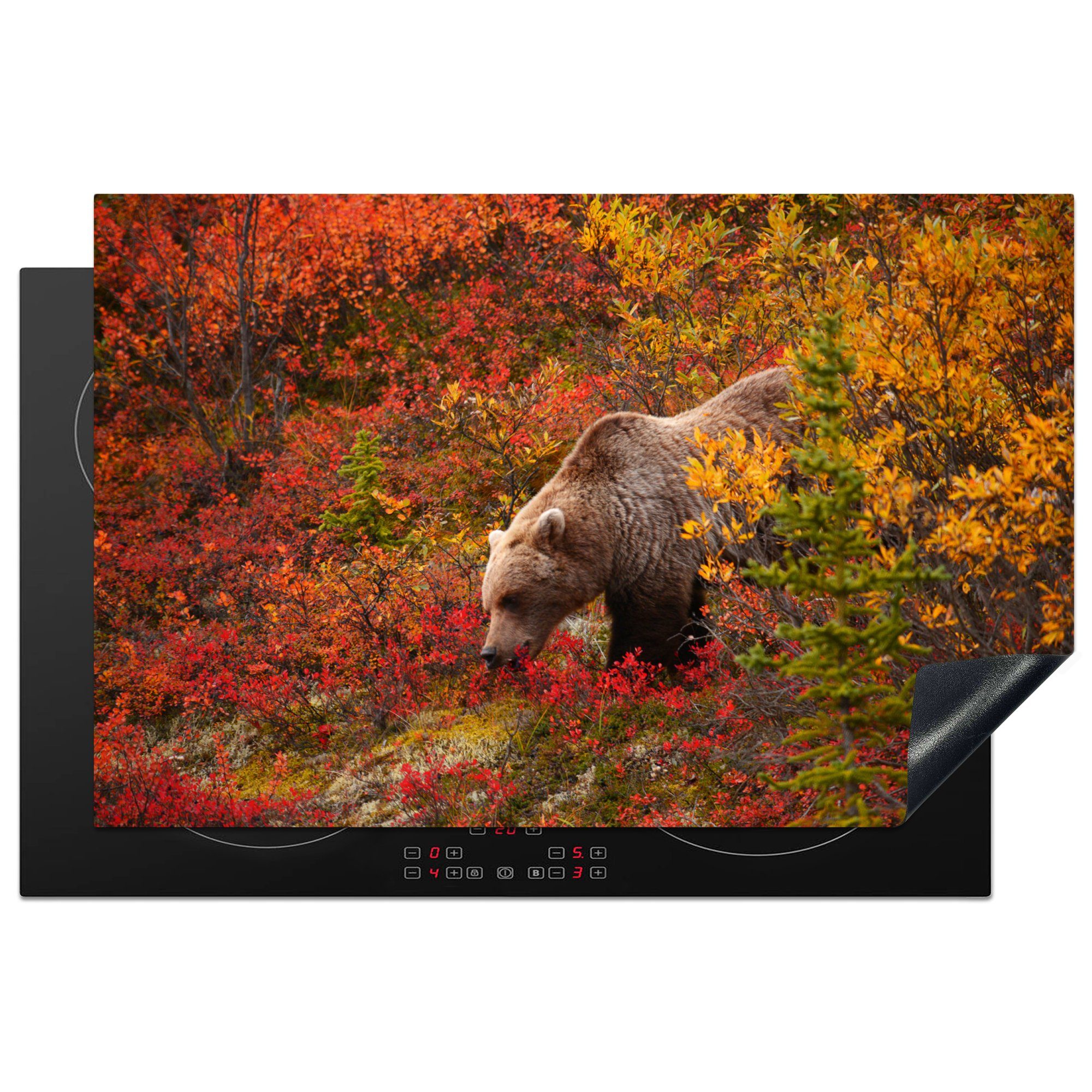 MuchoWow Herdblende-/Abdeckplatte Bild eines Grizzlybären zwischen farbigen Bäumen, Vinyl, (1 tlg), 81x52 cm, Induktionskochfeld Schutz für die küche, Ceranfeldabdeckung