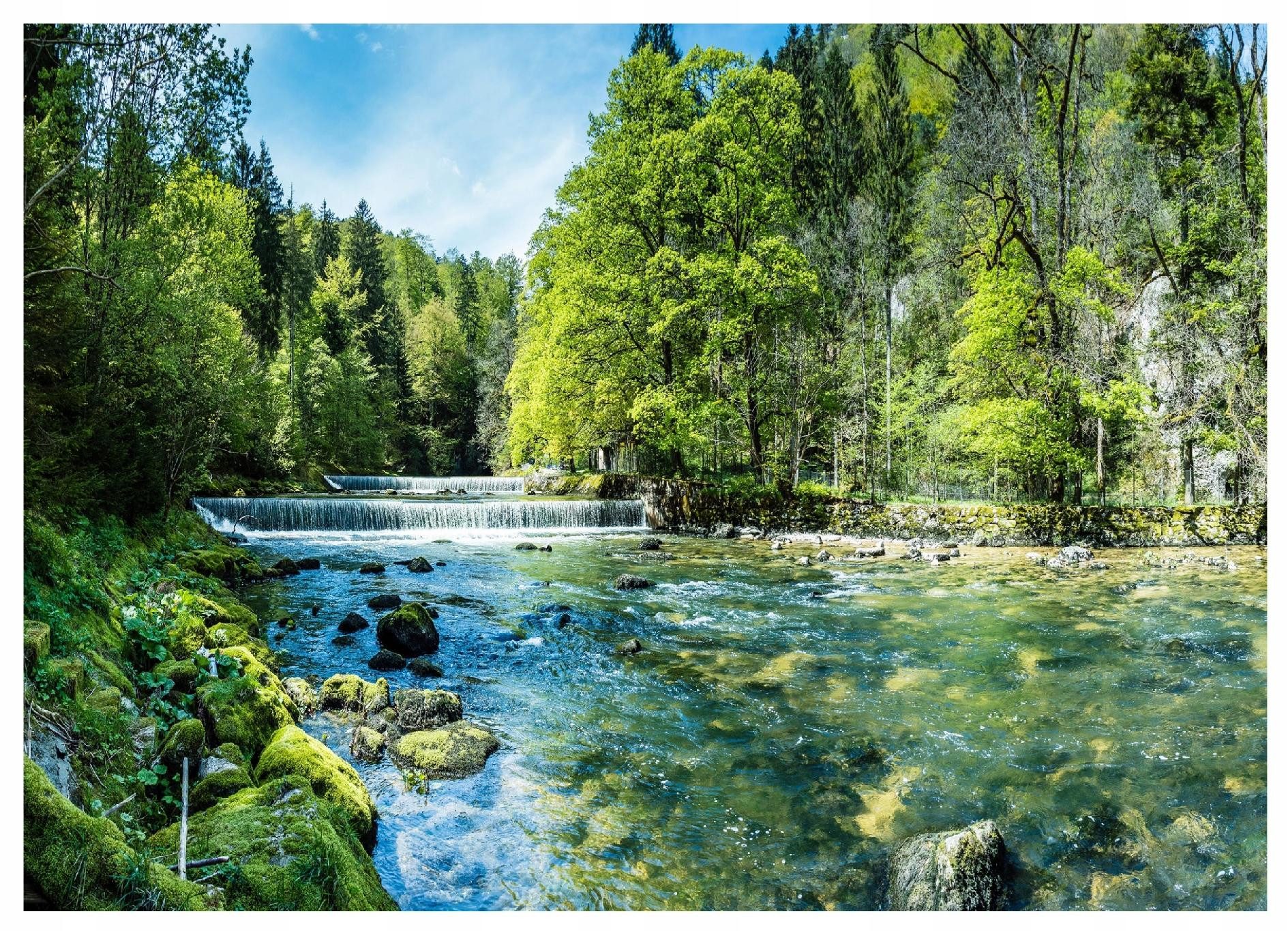 Wallarena Fototapete Wald mit Fluss in Grün aus Vlies für Wohnzimmer, glatt, floral, bedruckt, 3D-Optik, (7 St), Tapetenkleister inklusive …
