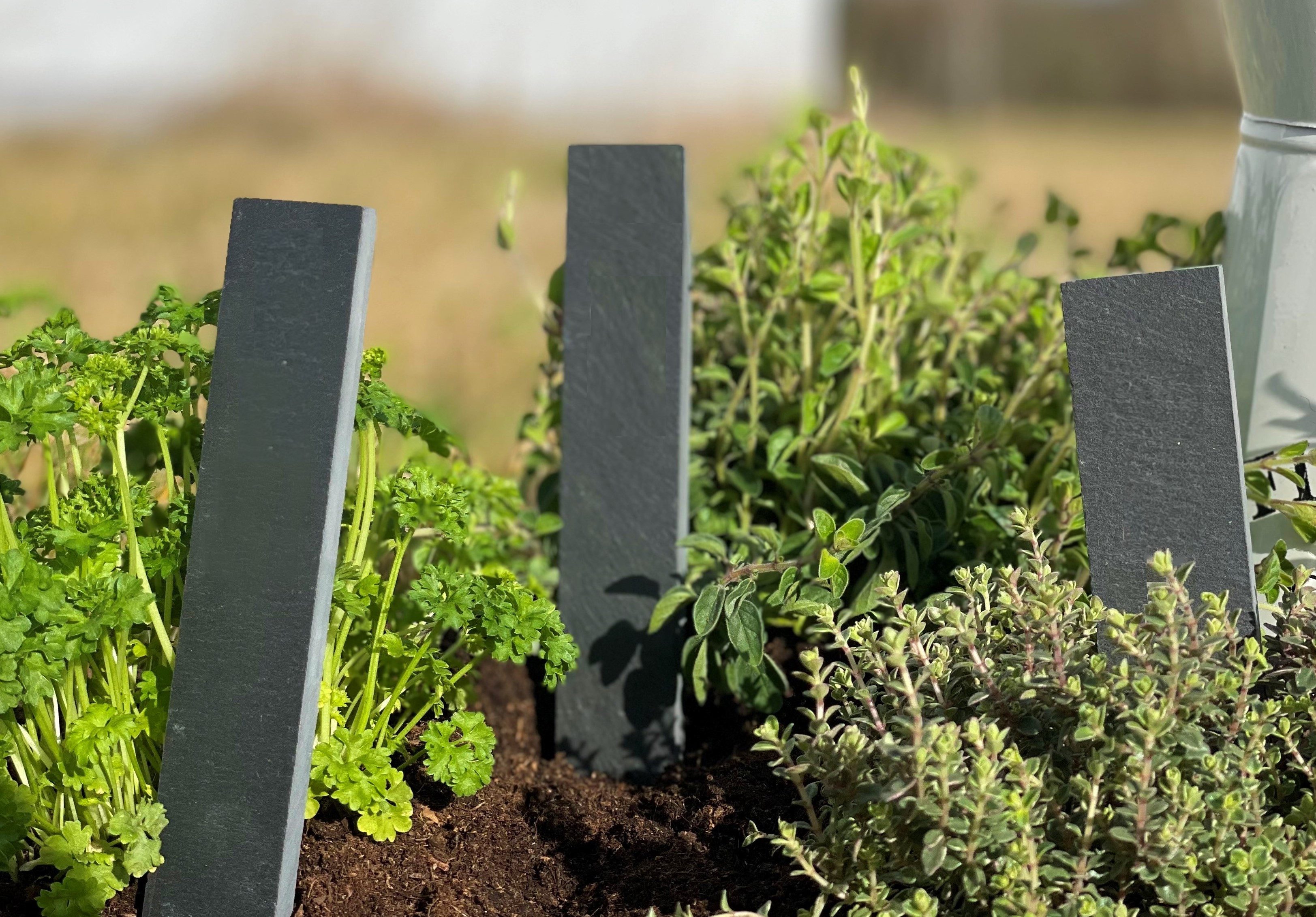 Sandra Rich Gartenstecker Schiefer-Stecker 30cm. 5er günstig online kaufen