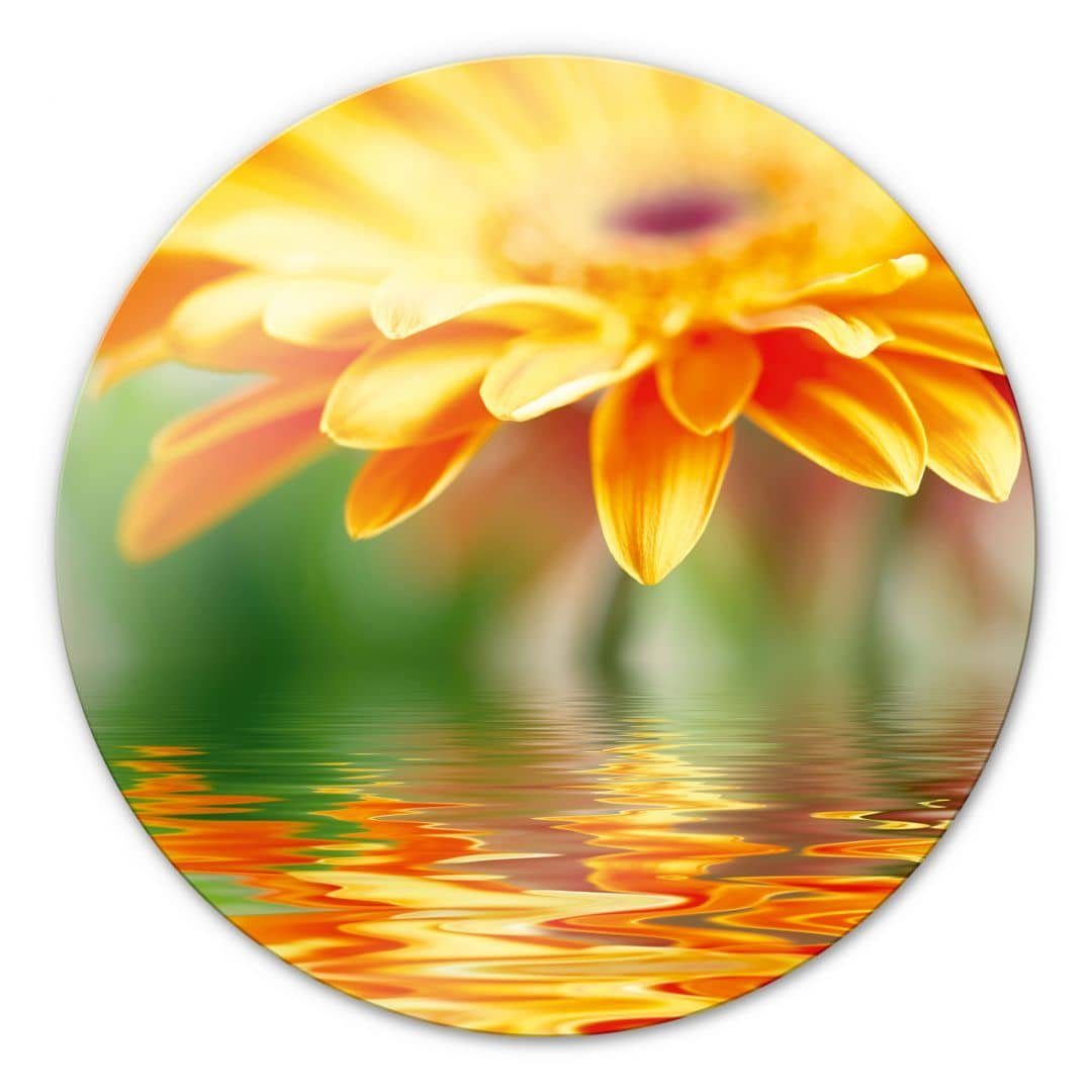 Gemälde Glas Wandbild Rund Glasbild Gerbera Spiegelung Blumen Fotografie