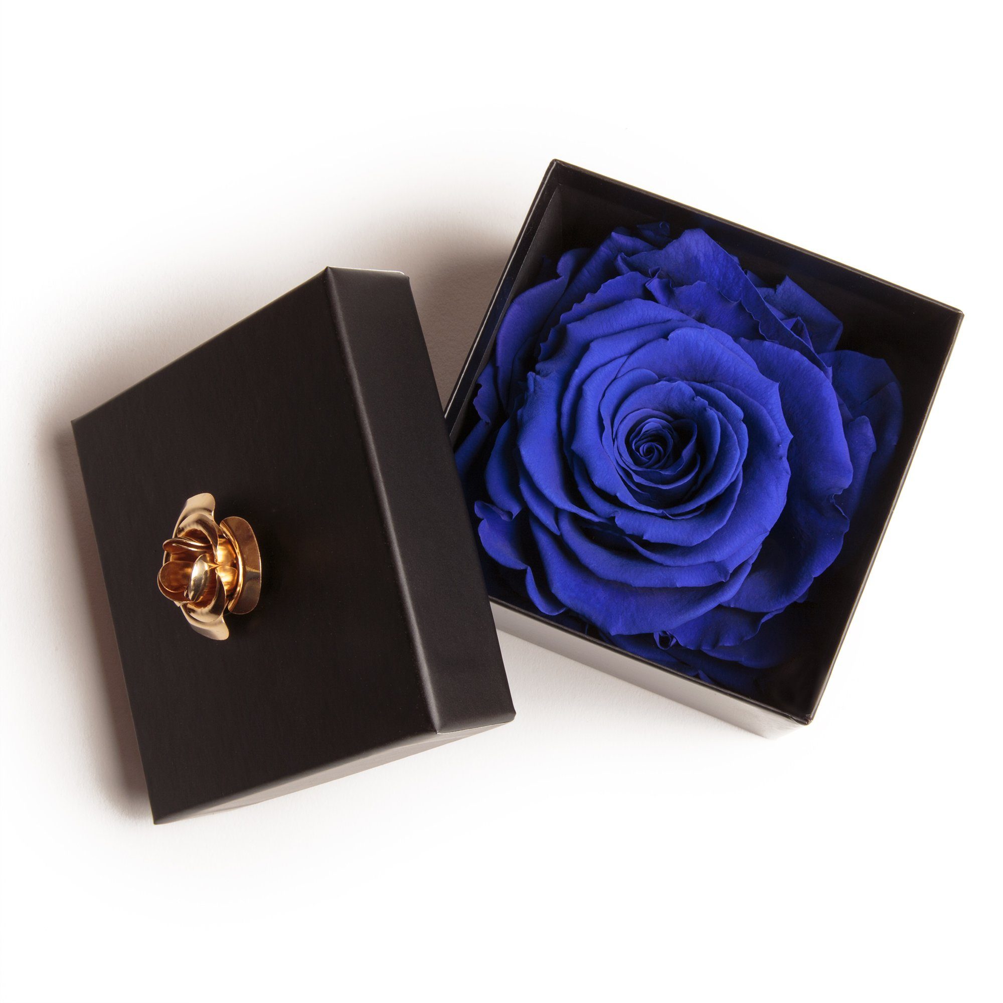 Kunstblume 1 Infinity Rose haltbar 3 Jahre ewige Rose in Box Rose, ROSEMARI günstig online kaufen
