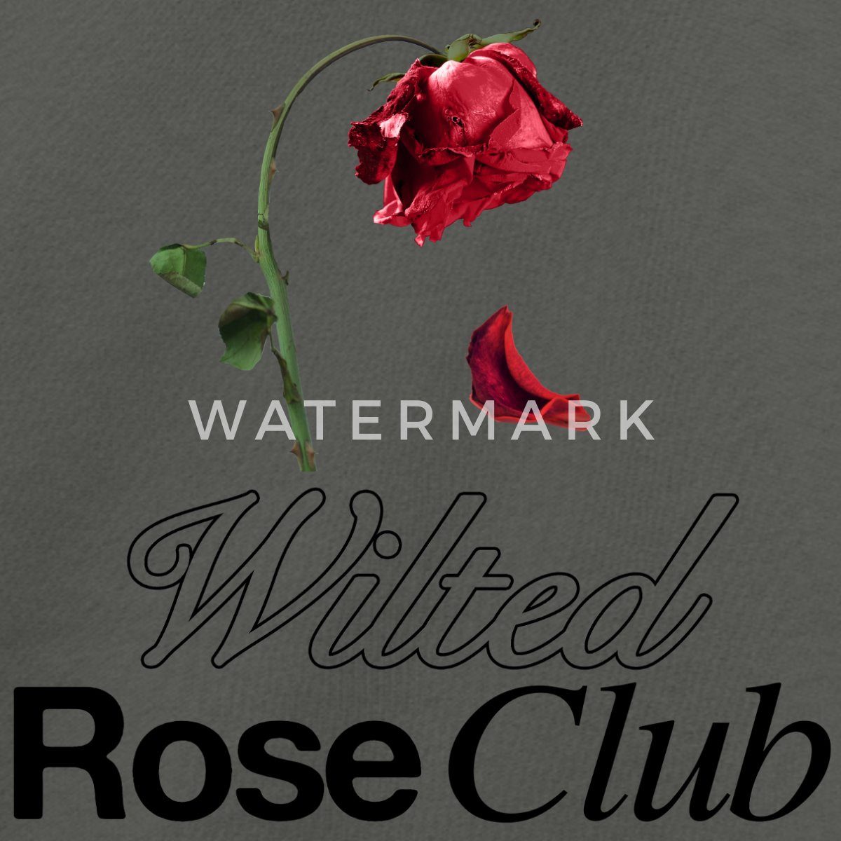 Spreadshirt Hoodie Vintage Love Streetwear Rose Design Frauen Boxy Organic günstig online kaufen