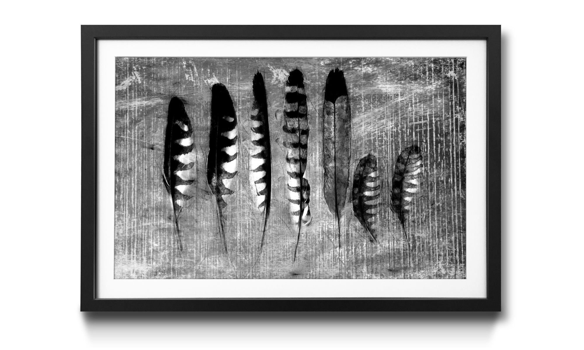 WandbilderXXL Bild mit Rahmen Monochrome Feathers, Vogelfedern, Wandbild, in 4 Größen erhältlich