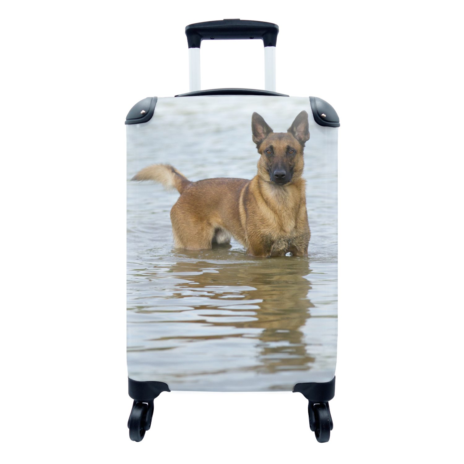MuchoWow Handgepäckkoffer Ein Malinois-Schäferhund spielt in einem See, 4 Rollen, Reisetasche mit rollen, Handgepäck für Ferien, Trolley, Reisekoffer