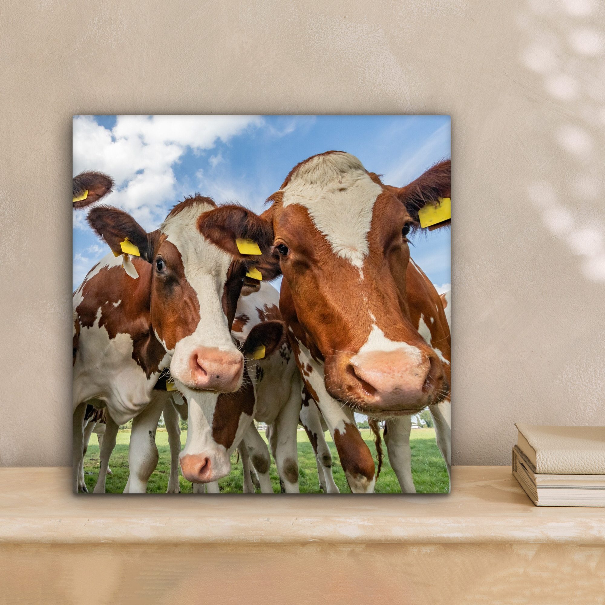 OneMillionCanvasses® Leinwandbild Kühe - Tiere - günstig online kaufen