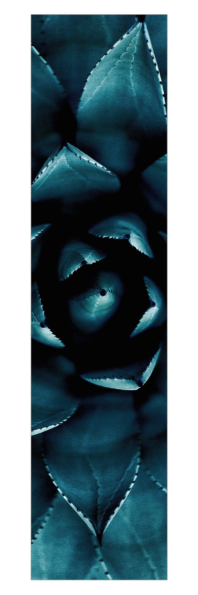 Bilderdepot24 Schiebegardine modern Flächenvorhang blickdicht Sukkulente Petrol II (1 St), halbtransparent, Wohnzimmer große Flächengardine lichtdurchlässig für Klemm-System