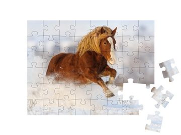 puzzleYOU Puzzle Galopp in winterlichem Schneefeld, 48 Puzzleteile, puzzleYOU-Kollektionen Pferde, Haflinger Pferde