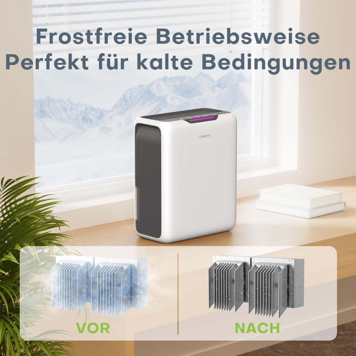 TSE Luftentfeuchter Luftentfeuchter DH‑CS13, 3 L Tank günstig online kaufen