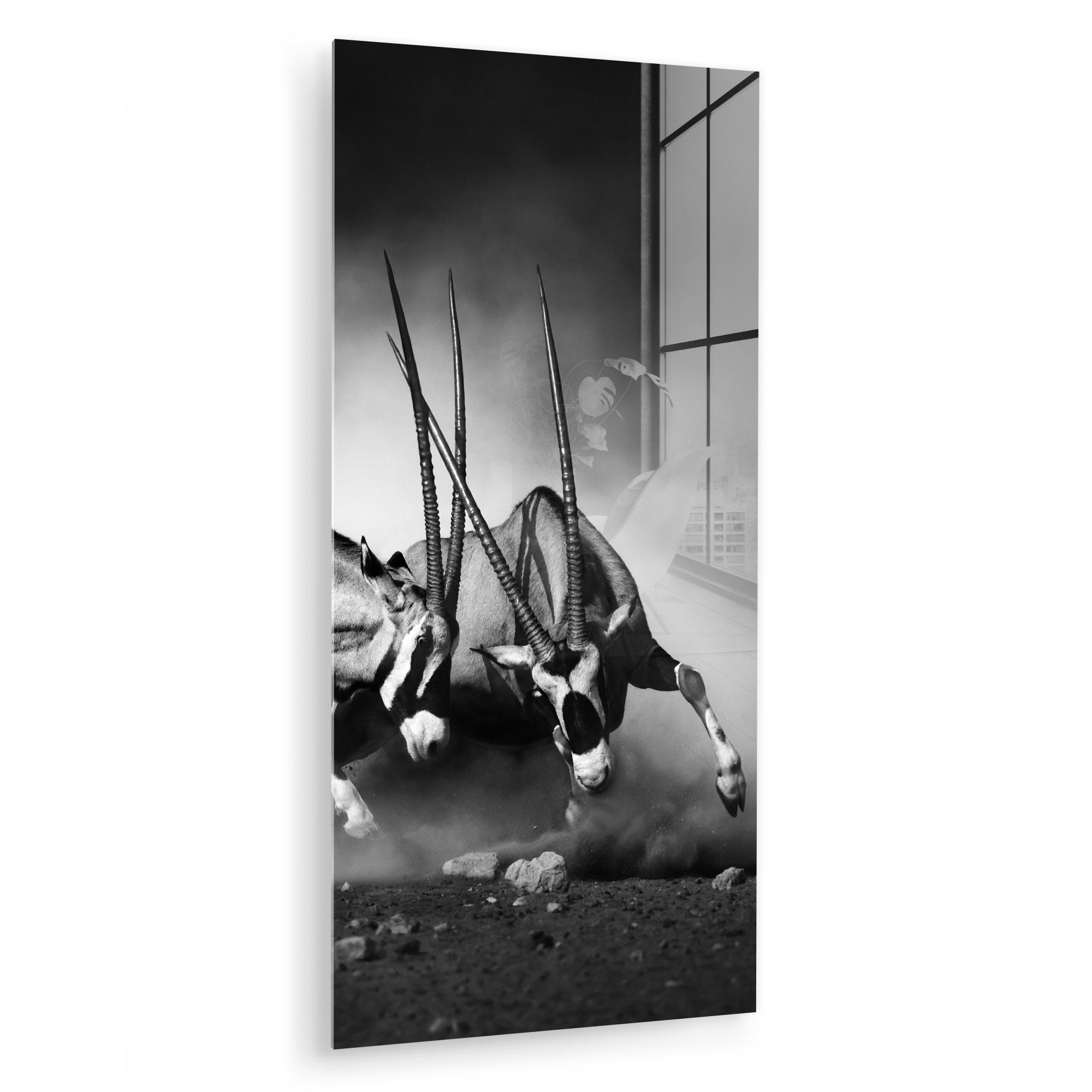 MuchoWow Acrylglasbild Antilope - Schwarz und günstig online kaufen
