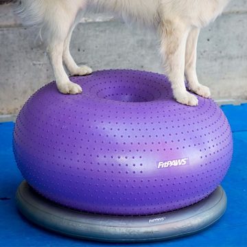 FitPAWS Agility-Hürde Donuthalter 63 cm Grau, Plastik