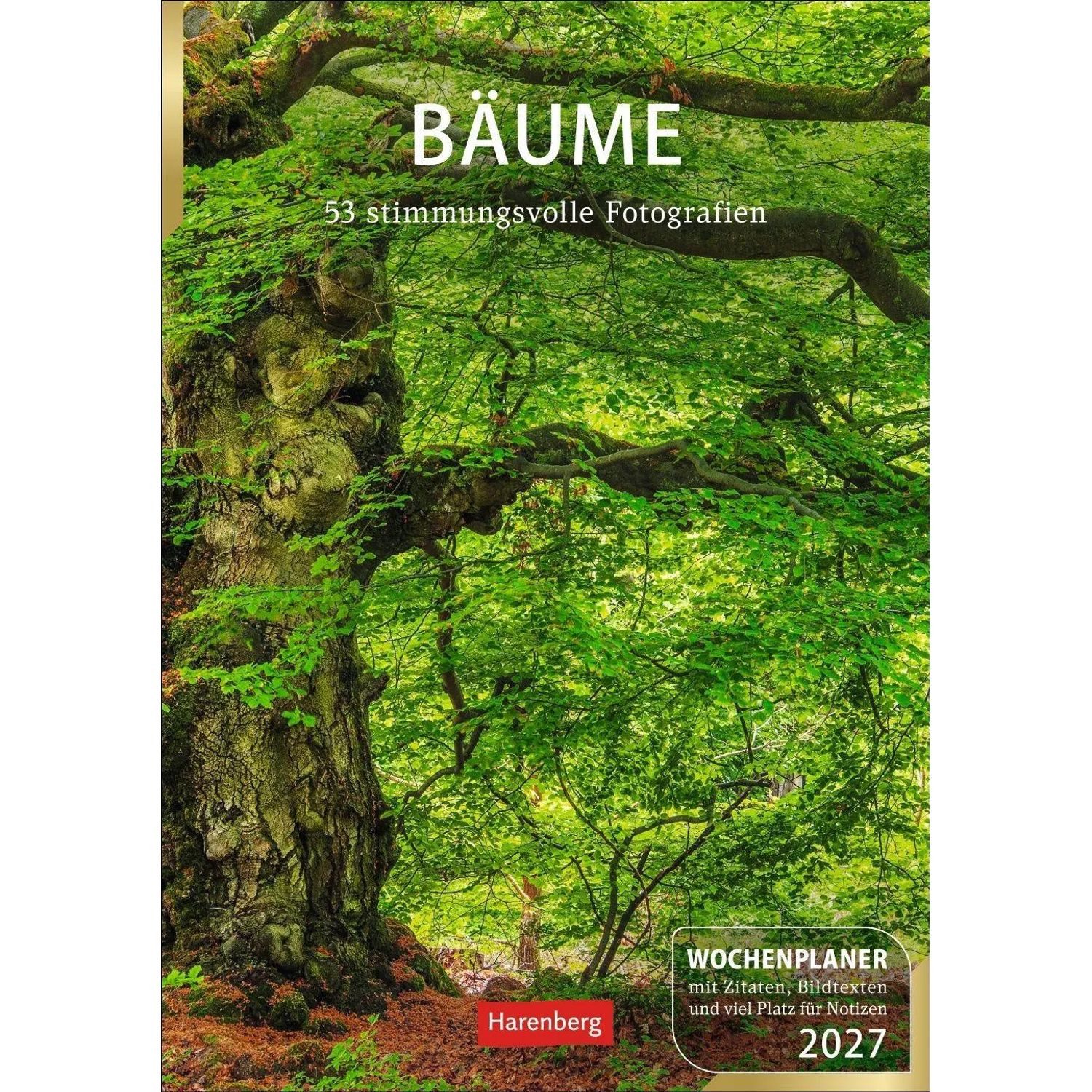 Harenberg Kalender Verlag Wandkalender Bäume Wochenplaner 2027 - 53 stimmungsvolle Fotografien