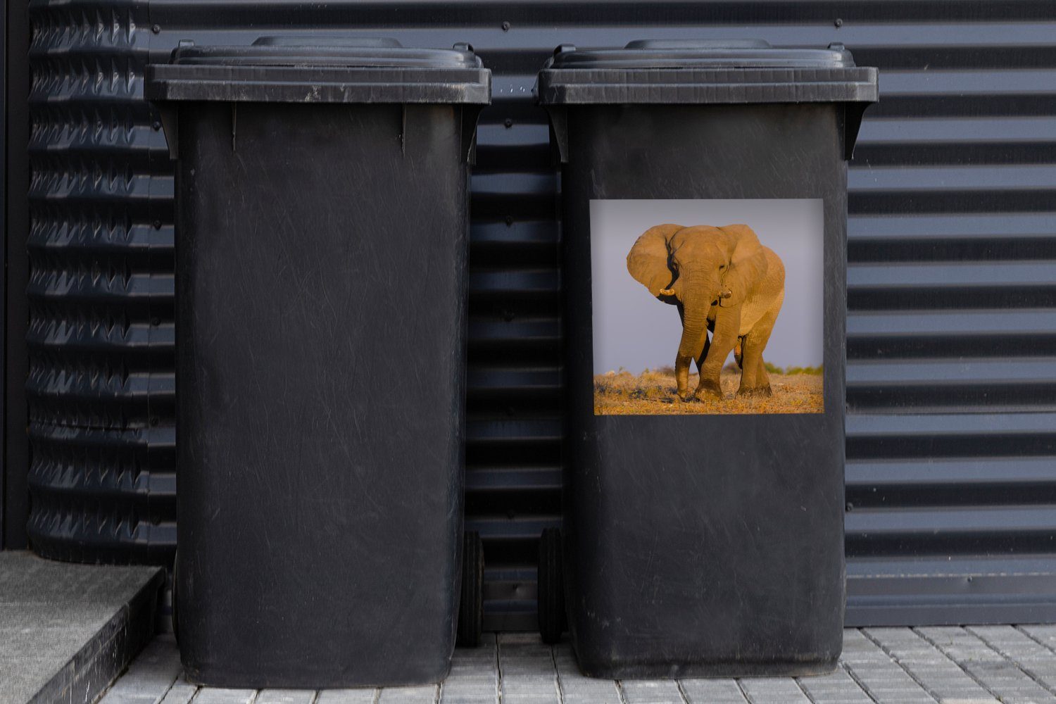 Sand Elefant Mülltonne, im Abfalbehälter (1 Mülleimer-aufkleber, Sticker, Container, Wandsticker St), MuchoWow Afrikanischer