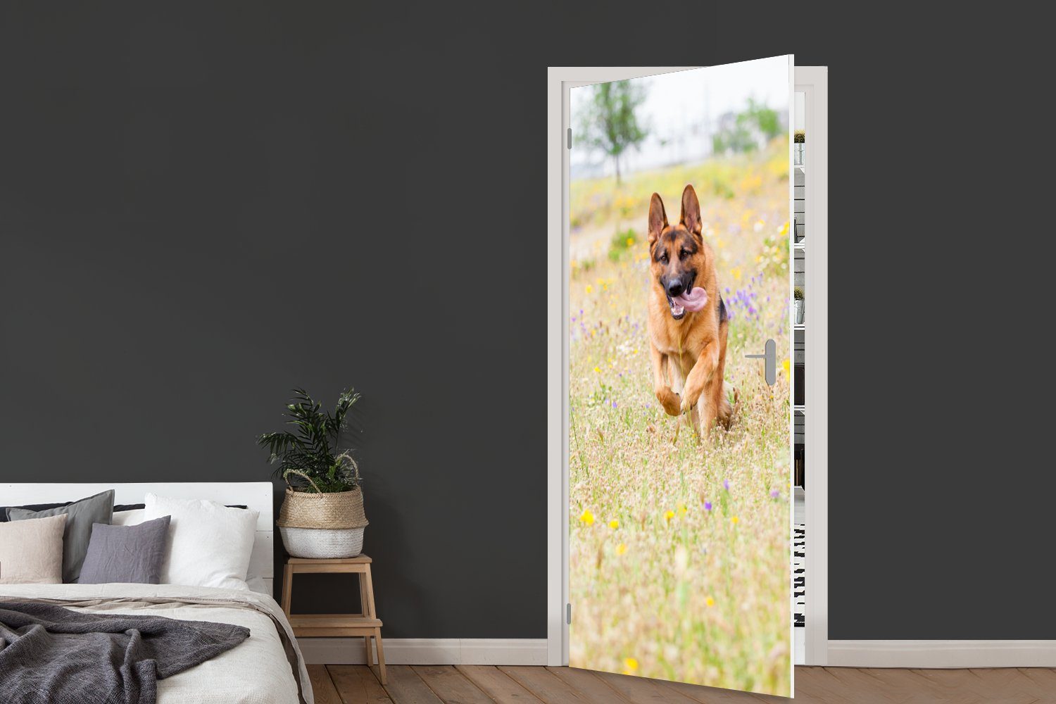 cm Deutscher Türaufkleber, St), Fototapete Matt, Tür, bedruckt, spaziert Schäferhund bunten Blumen, für 75x205 Türtapete zwischen (1 MuchoWow