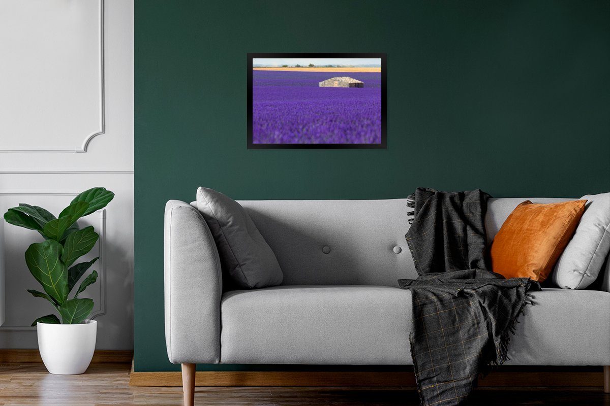 MuchoWow Poster Lavendelfeld Mitte, einem Bilder, Wandposter, mit in (1 Bilderrahmen Poster, Schwarzem Wanddeko, St), Großes kleinen Haus Gerahmtes der