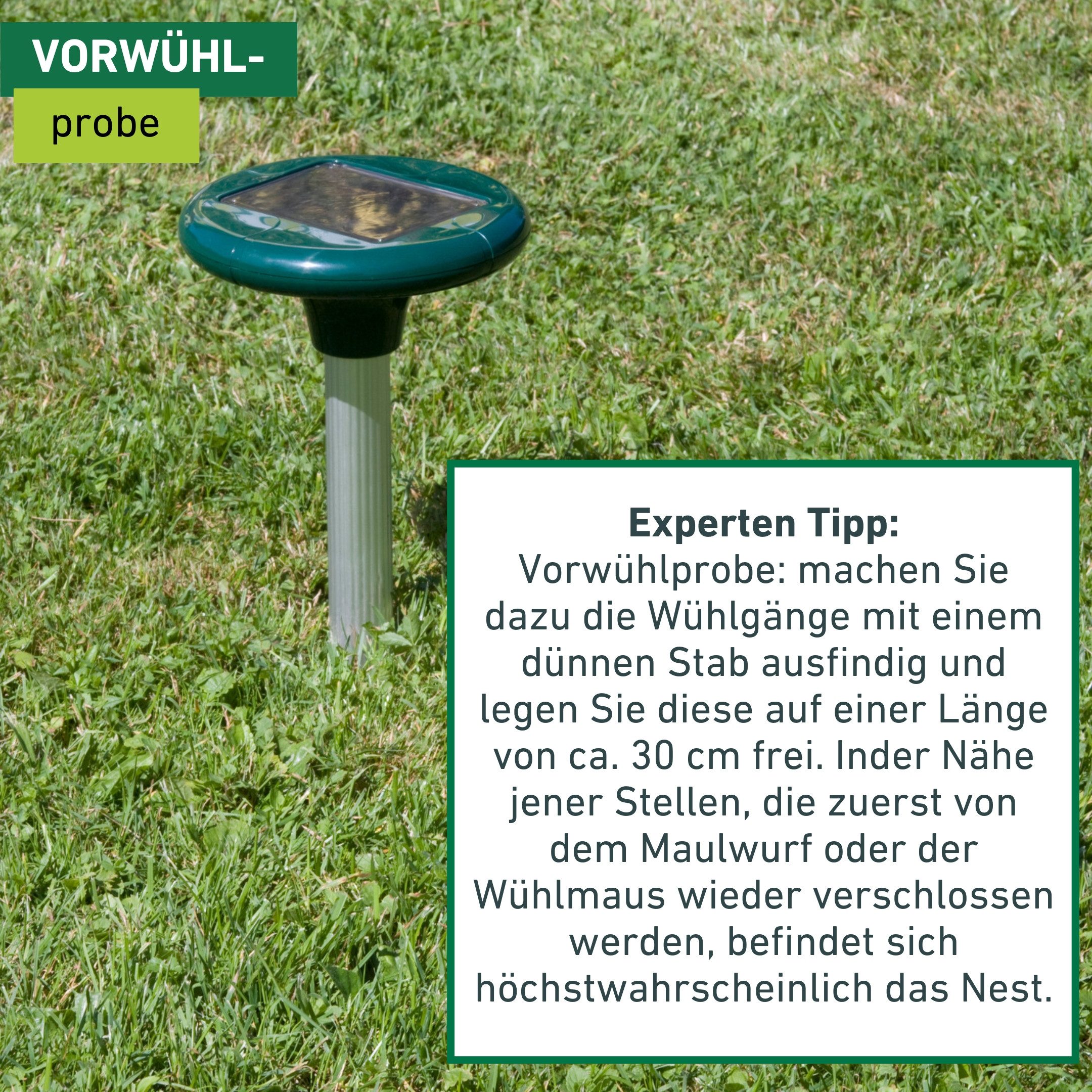 Windhager Ultraschall-Tierabwehr Maulfwurfschreck und Wühlmausvertreiber Solar, Wirkungsbereich 800 m² mit niederfrequenten Schallwellen, grün