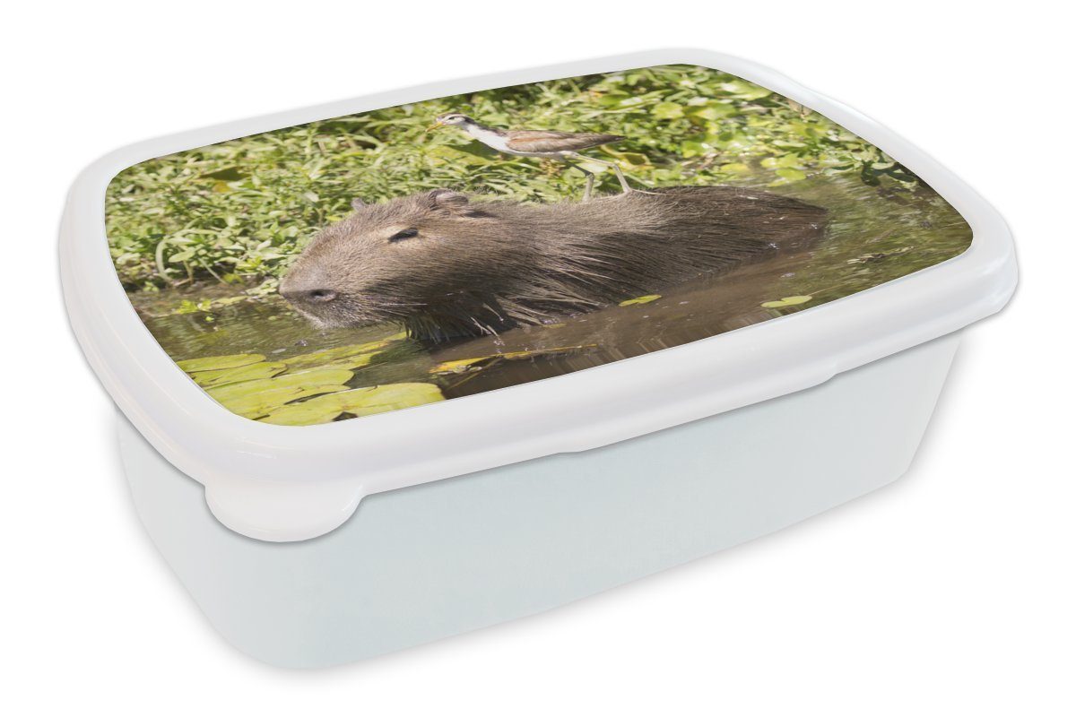 MuchoWow Lunchbox Ein Wasserschwein sitzt im Wasser mit einem Vogel darauf, Kunststoff, (2-tlg), Brotbox für Kinder und Erwachsene, Brotdose, für Jungs und Mädchen weiß