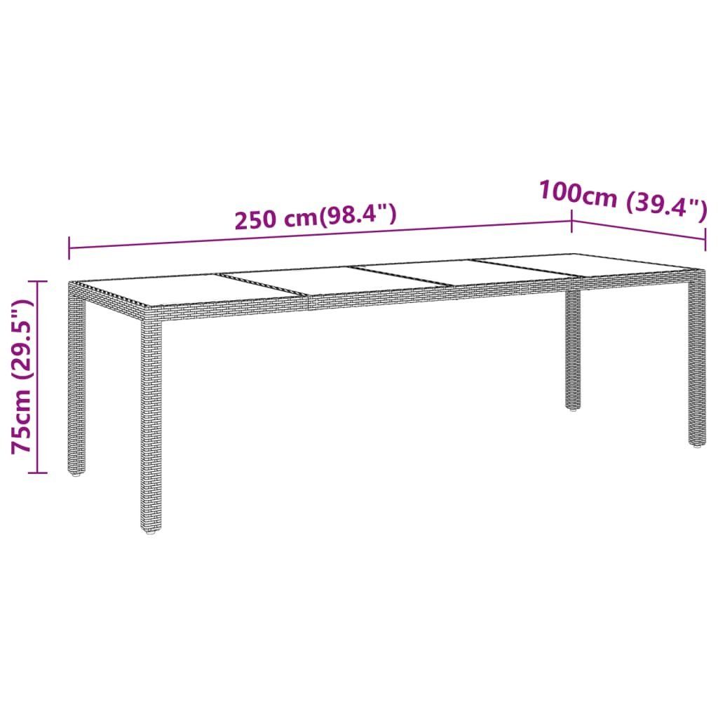 Poly Schwarz | Gartentisch Schwarz Schwarz Hartglas 250x100x75 Rattan cm vidaXL (1-St) und Gartentisch