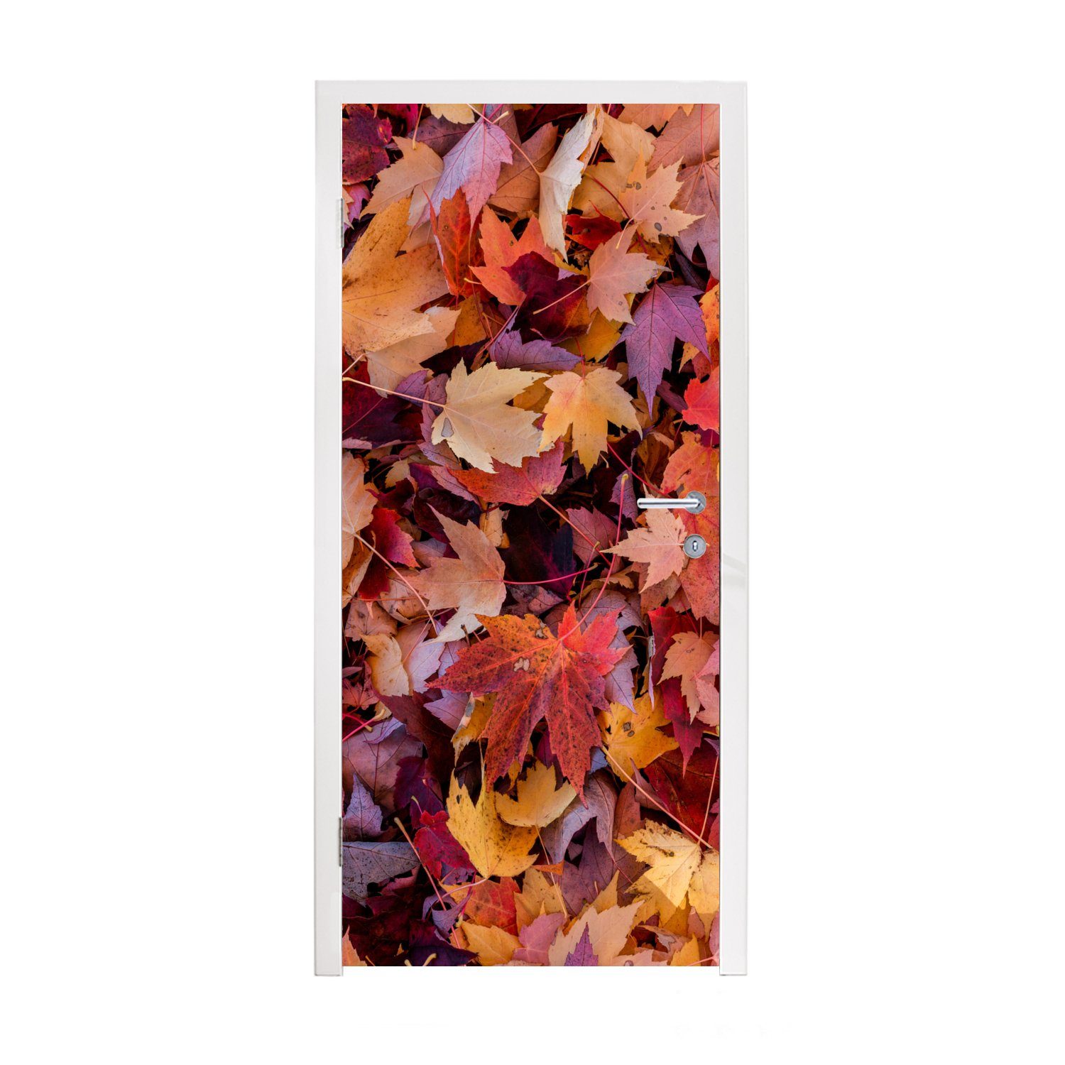 MuchoWow Türtapete Tür, St), für bedruckt, Fototapete cm (1 Herbstblätter, Türaufkleber, 75x205 Matt