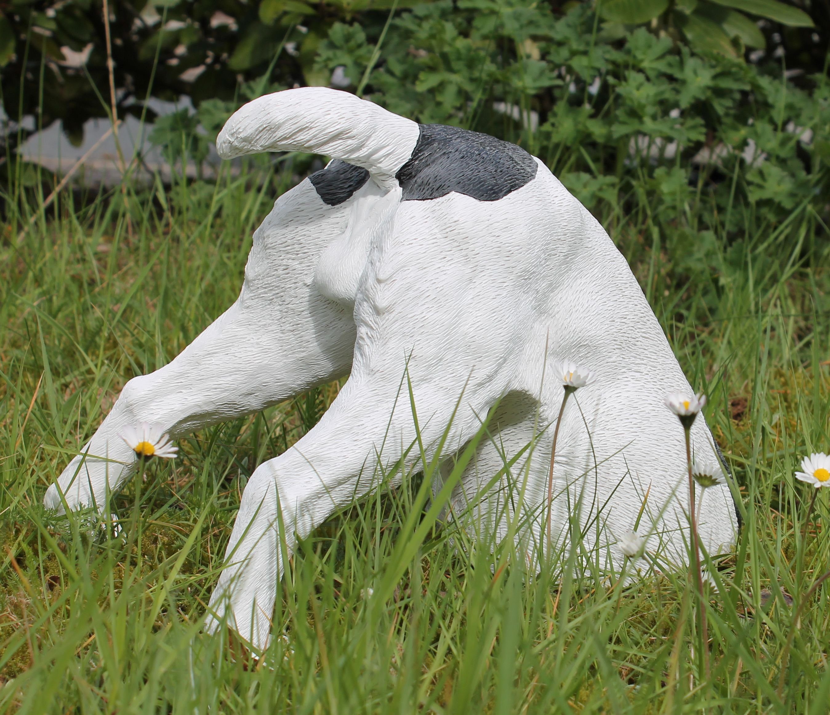 colourliving Tierfigur Gartenfigur Jack Russell Terrier grabend – Witzige Tierfigur, Handbemalt, Wetterfest, witzige Gartendeko