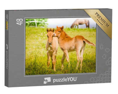 puzzleYOU Puzzle Spielende Fohlen auf der Wiese, 48 Puzzleteile, puzzleYOU-Kollektionen Fohlen, Pferde