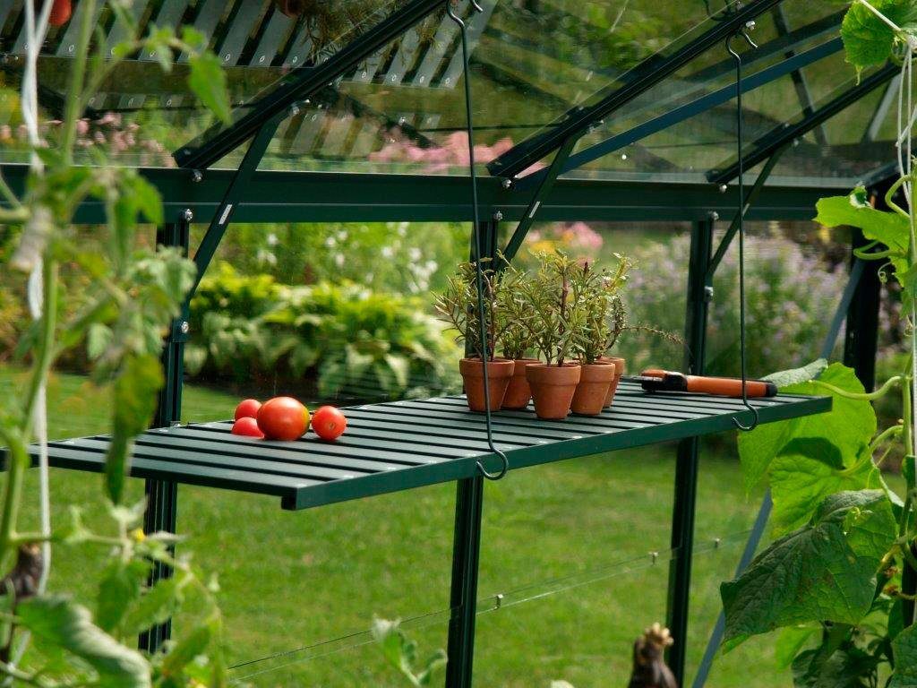 Vitavia Wandregal, grün, BxT: 120x31 cm