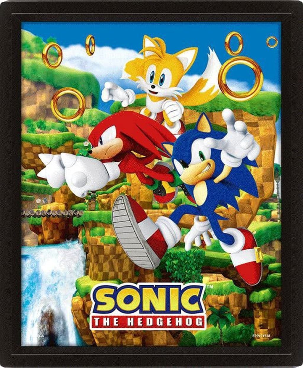 PYRAMID Poster Sonic The Hedgehog 3D-Effekt Poster Catching Rings 26 x 20 cm