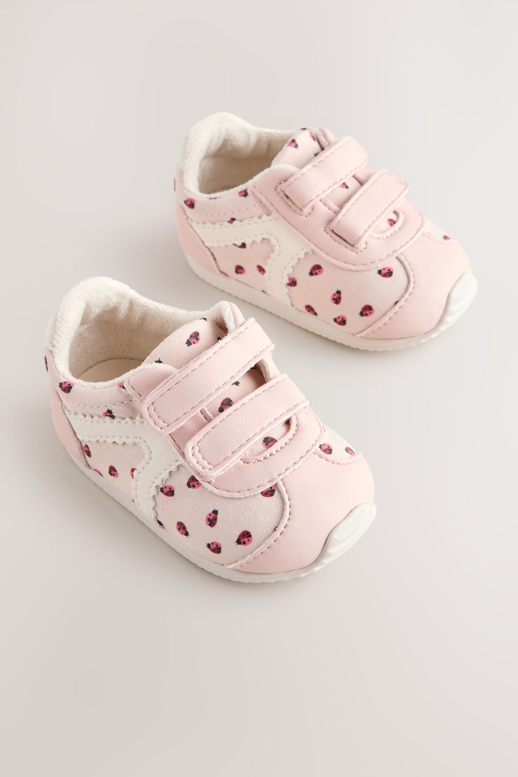 Pink Ladybird
