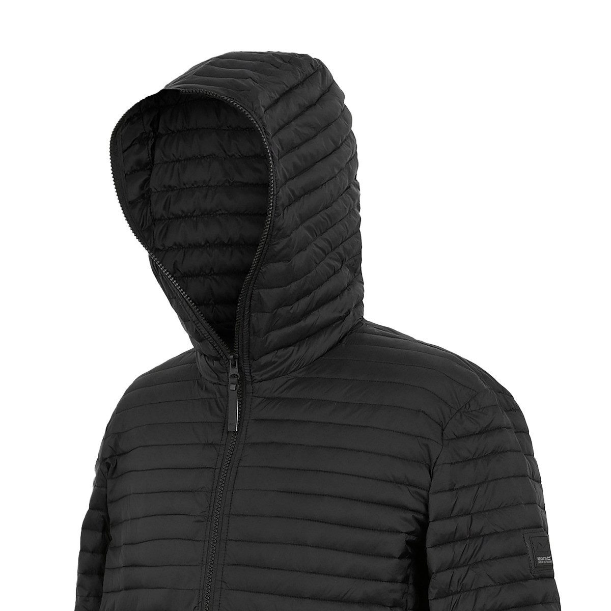 Regatta Steppjacke Rigain Herren Winterjacke, Übergangsjacke, Windjacke, Outdoorjacke, Mantel