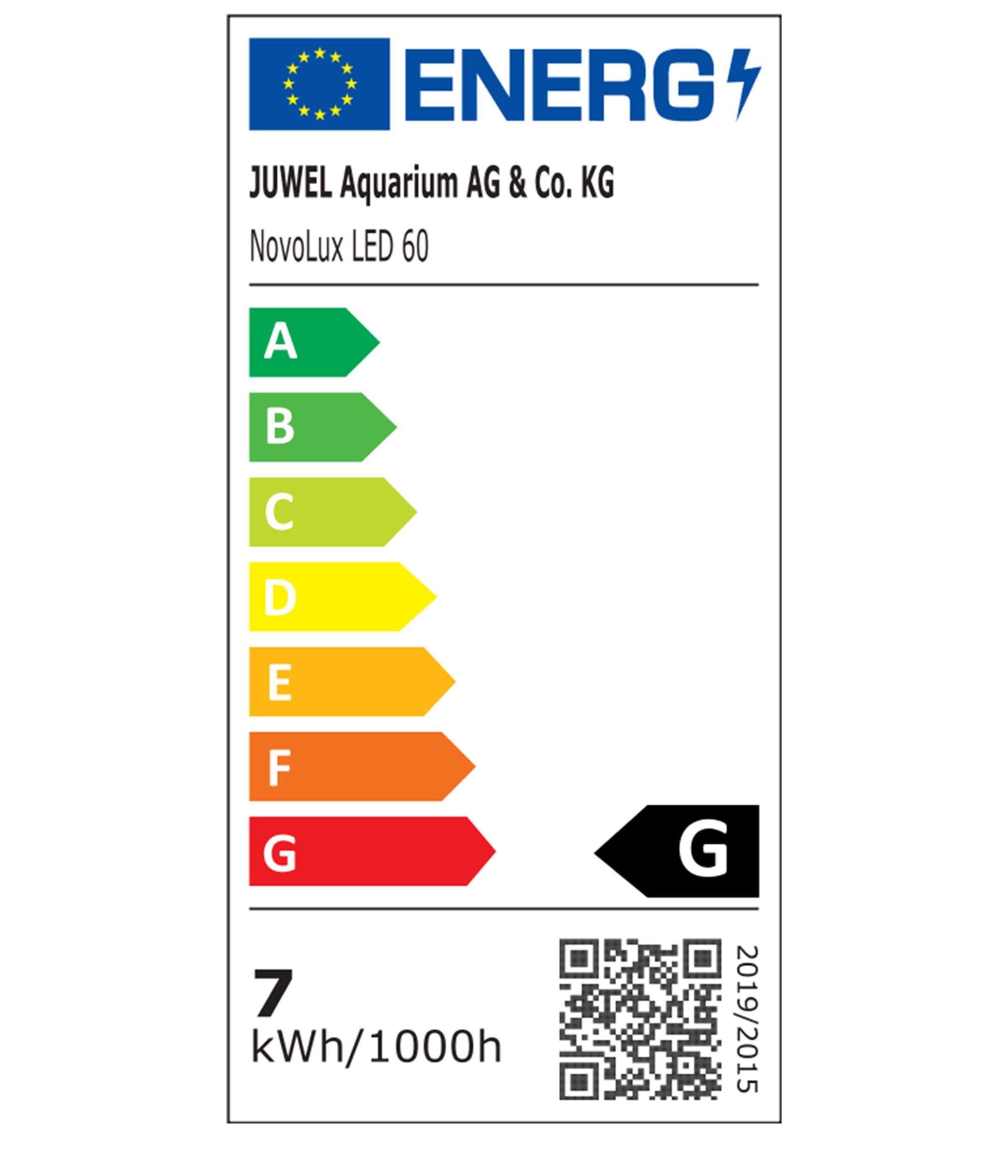 Dehner AquarienSet Aqua Start 60, 61 x 37 x 31 cm, mit Futter/Pflege