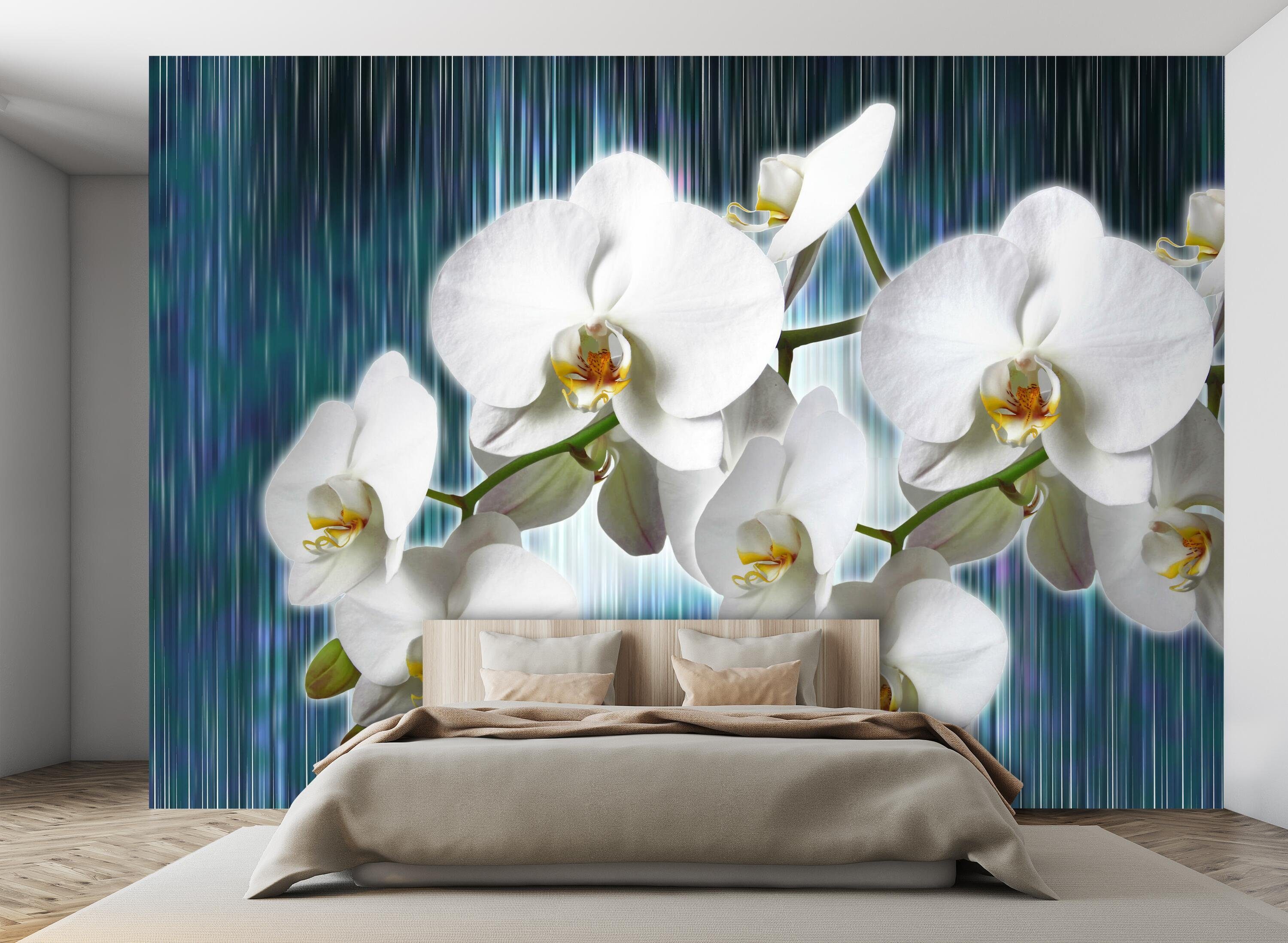 Vliestapete Orchideenzweig Fototapete Motivtapete, matt, wandmotiv24 Orchideen Blüten, Wandtapete, glatt,