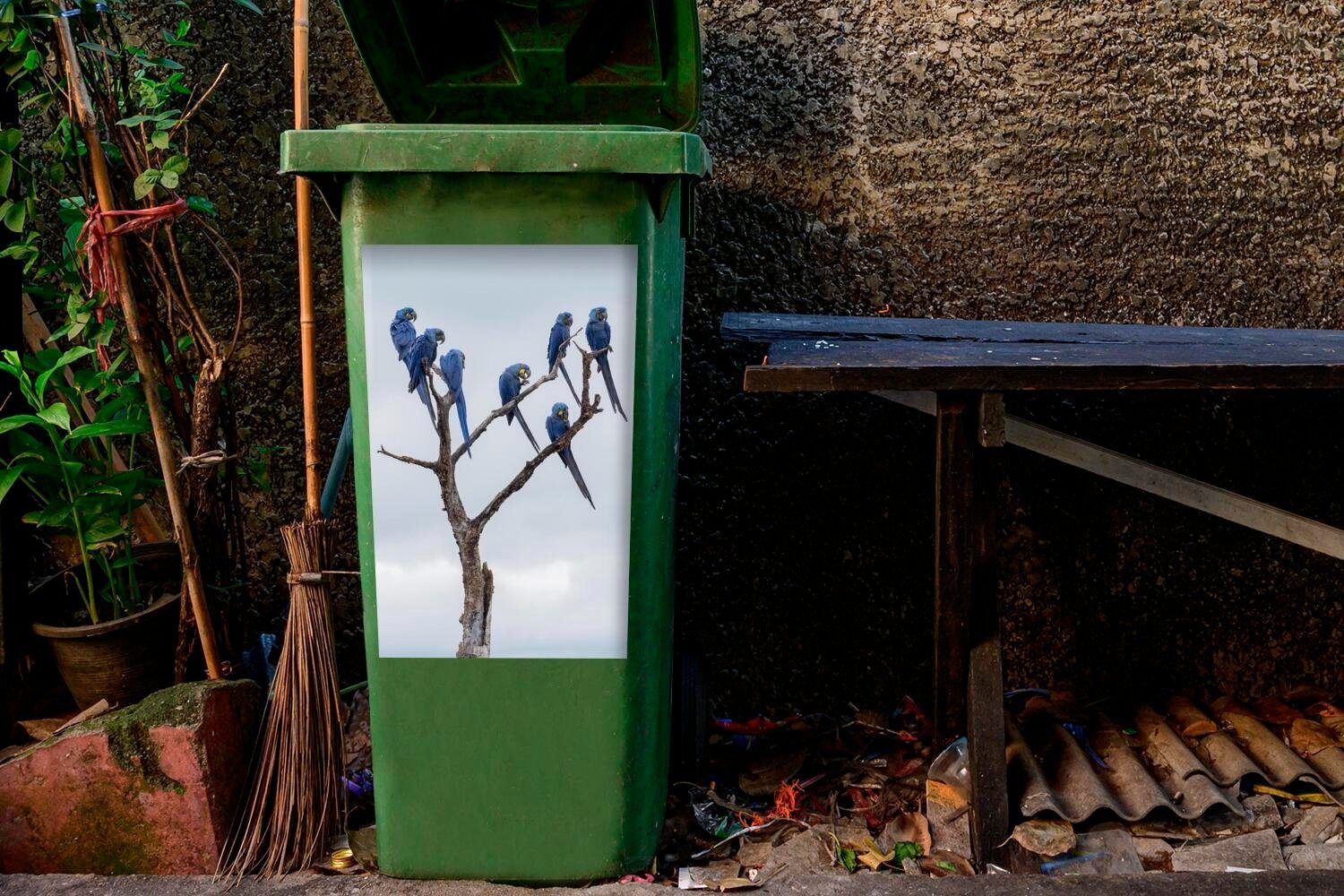Hyazintharas St), Mülltonne, (1 Sticker, Wandsticker Mülleimer-aufkleber, Container, dem Abfalbehälter Baum auf MuchoWow