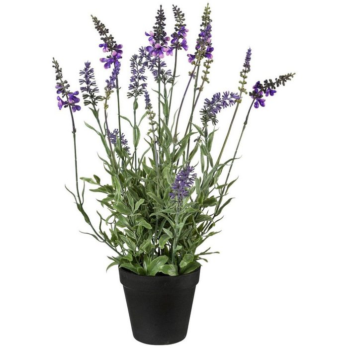 Kunstpflanze Lavendel Creativ green Höhe 48 cm im Topf RN7844