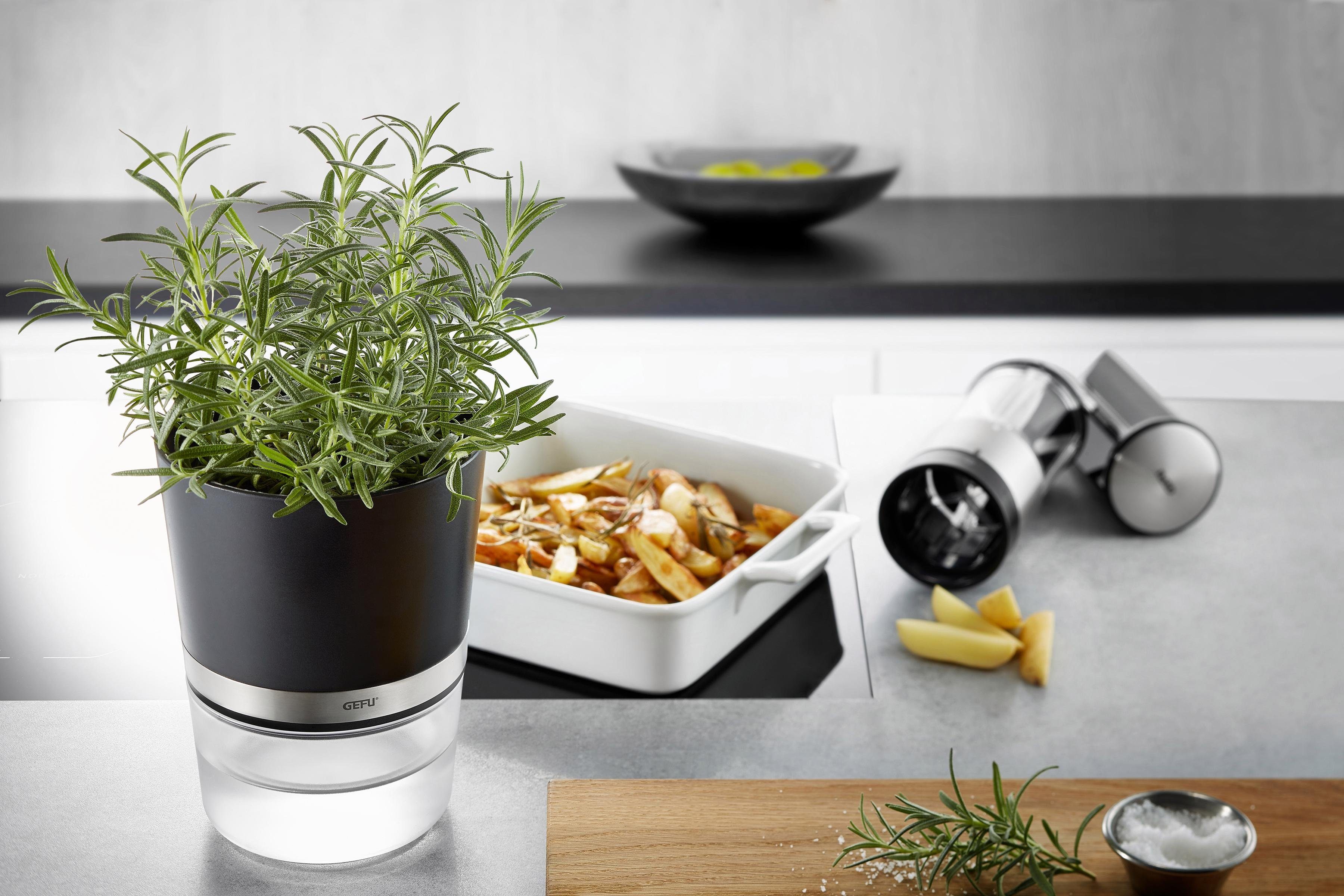 GEFU Kräutertopf Botanico, mit Bewässerungssystem günstig online kaufen