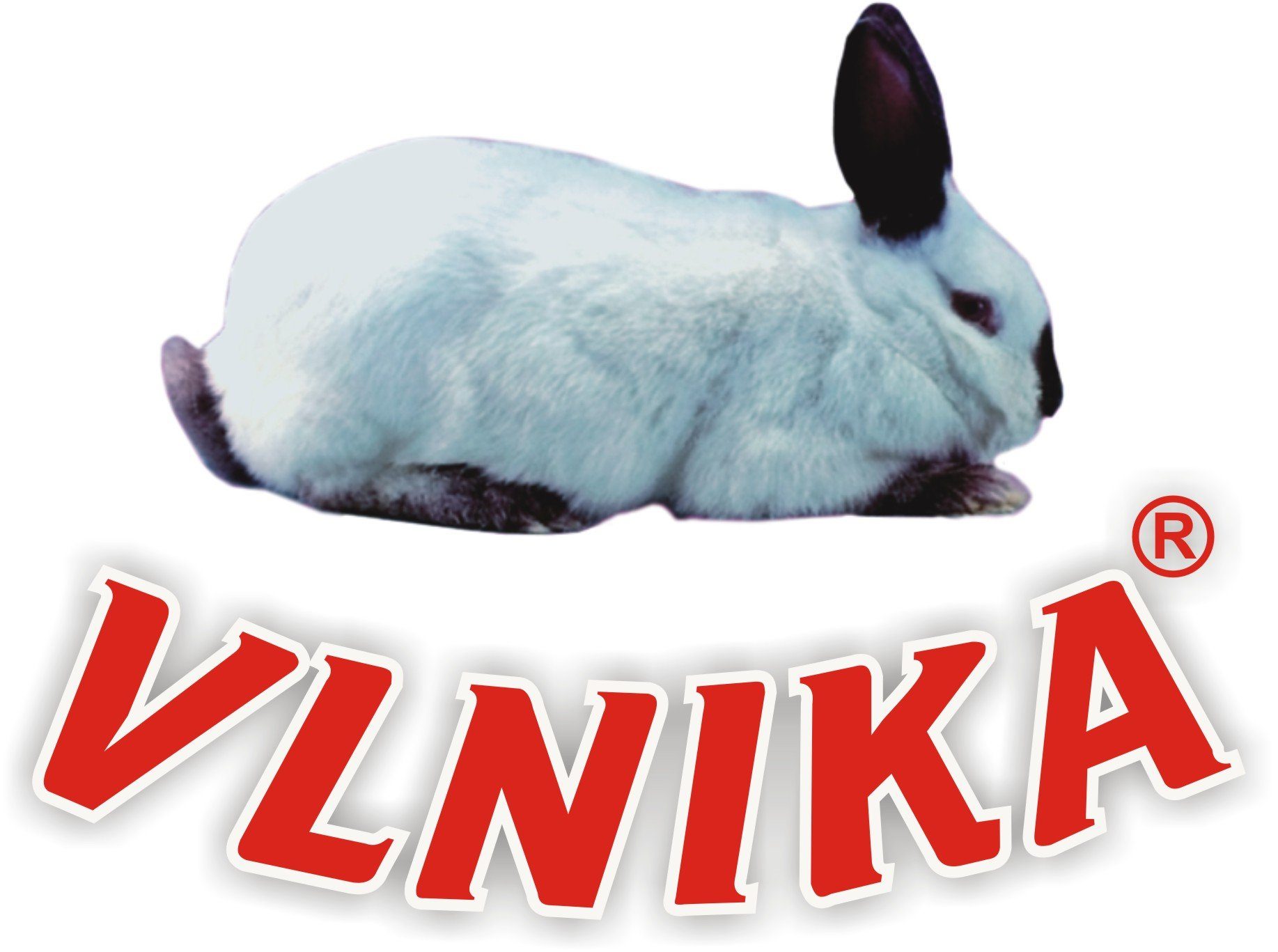 VLNIKA