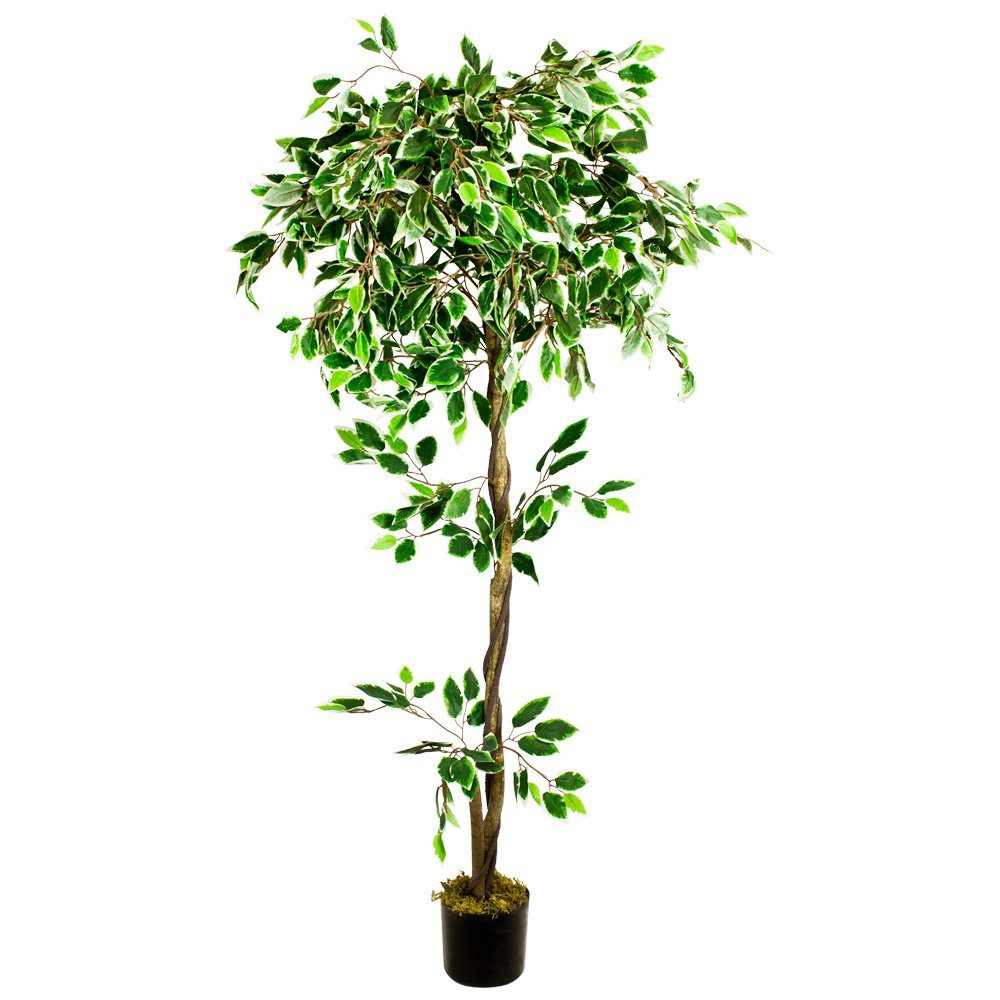 Kunstpflanze Ficus Benjamin Kunstpflanze Künstliche Pflanze Weiß mit Echtholz 160cm Decovego, Decovego