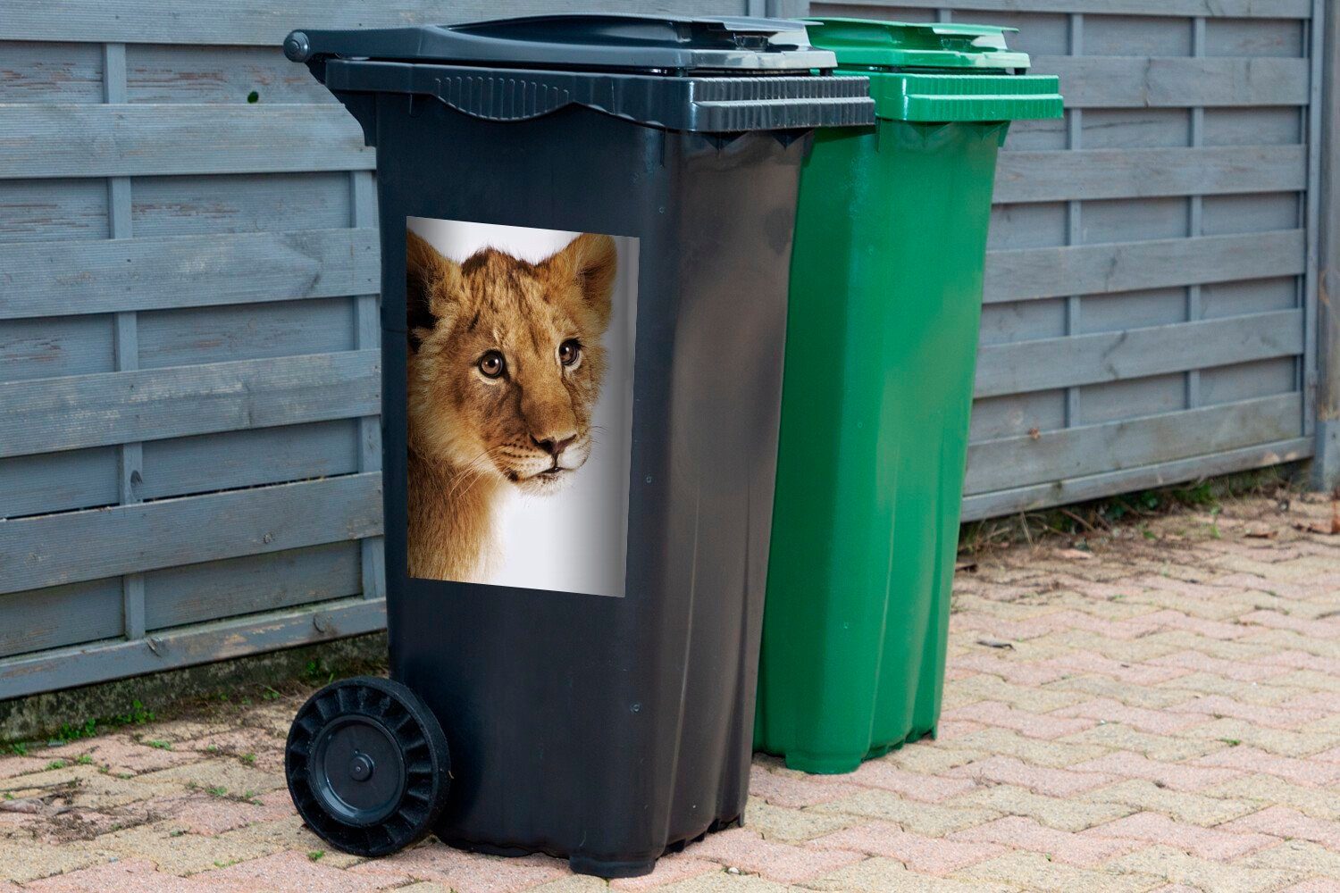 St), Mülleimer-aufkleber, MuchoWow Jungtier Mülltonne, Wild Container, Wandsticker - Sticker, Abfalbehälter - (1 Löwe