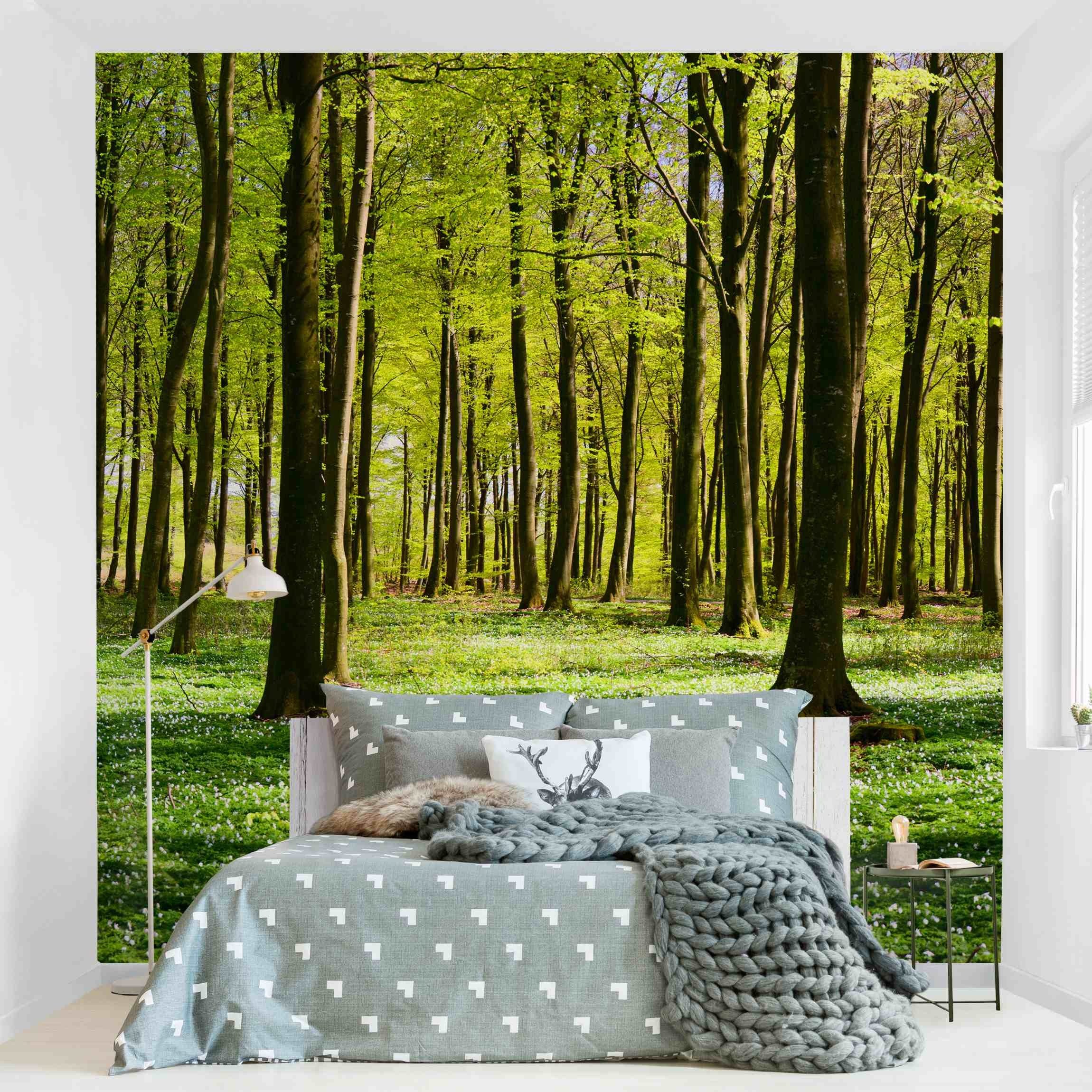 Bilderdepot24 Fototapete Wald Wiese 3D-Effekt Wiese günstig online kaufen