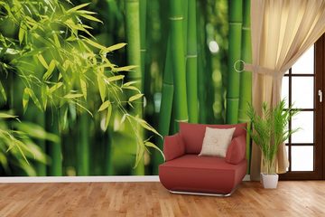 Wallario Vliestapete Bambuswald mit grünen Bambuspflanzen, seidenmatte Oberfläche