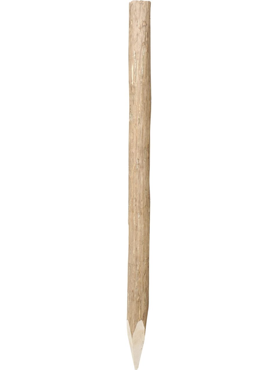 iWerk Zaunpfosten Pfähle Haselnuss 120 cm, 60 - 120 mm, natur