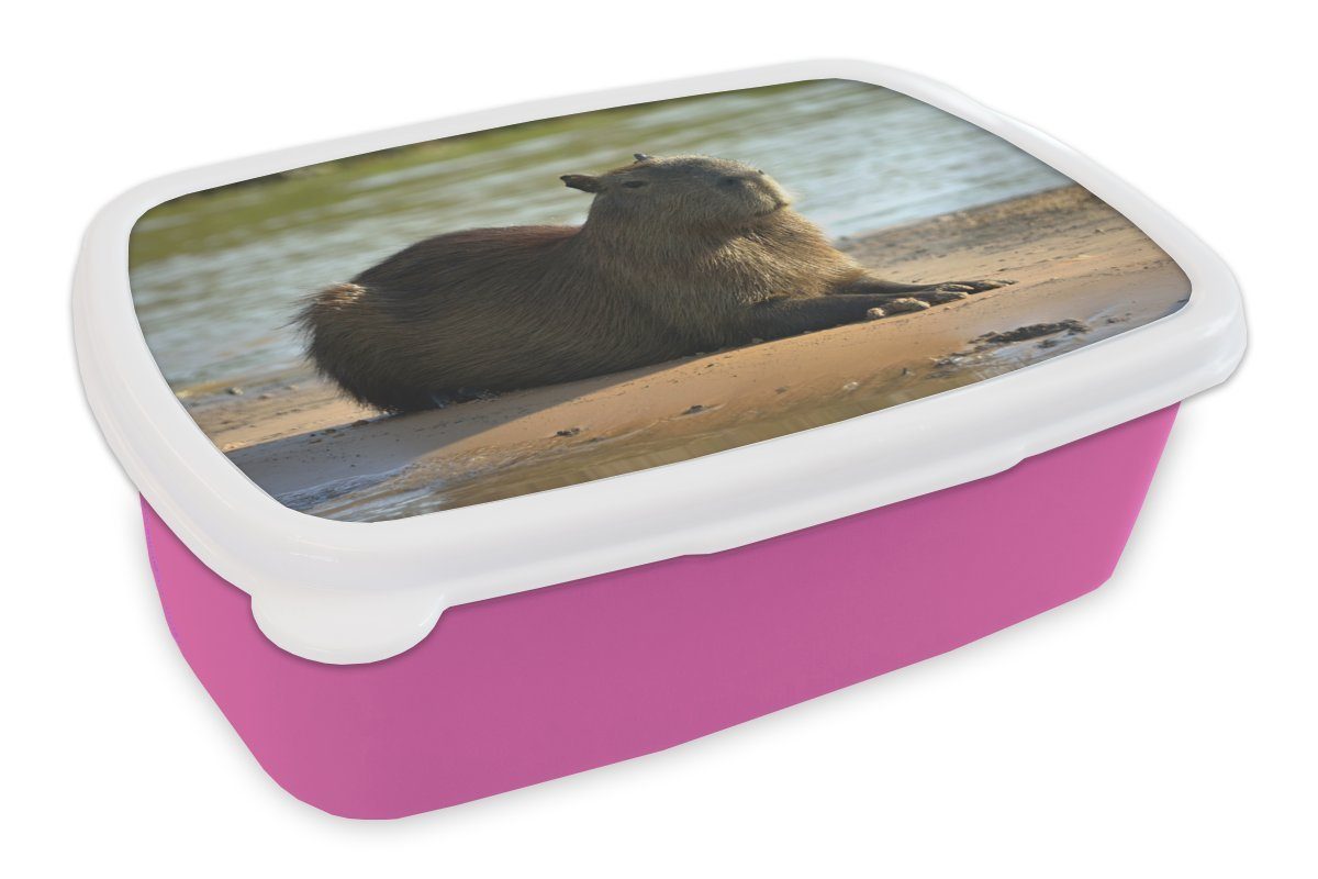 MuchoWow Lunchbox Am Wasser liegendes Wasserschwein, Kunststoff, (2-tlg), Brotbox für Erwachsene, Brotdose Kinder, Snackbox, Mädchen, Kunststoff rosa