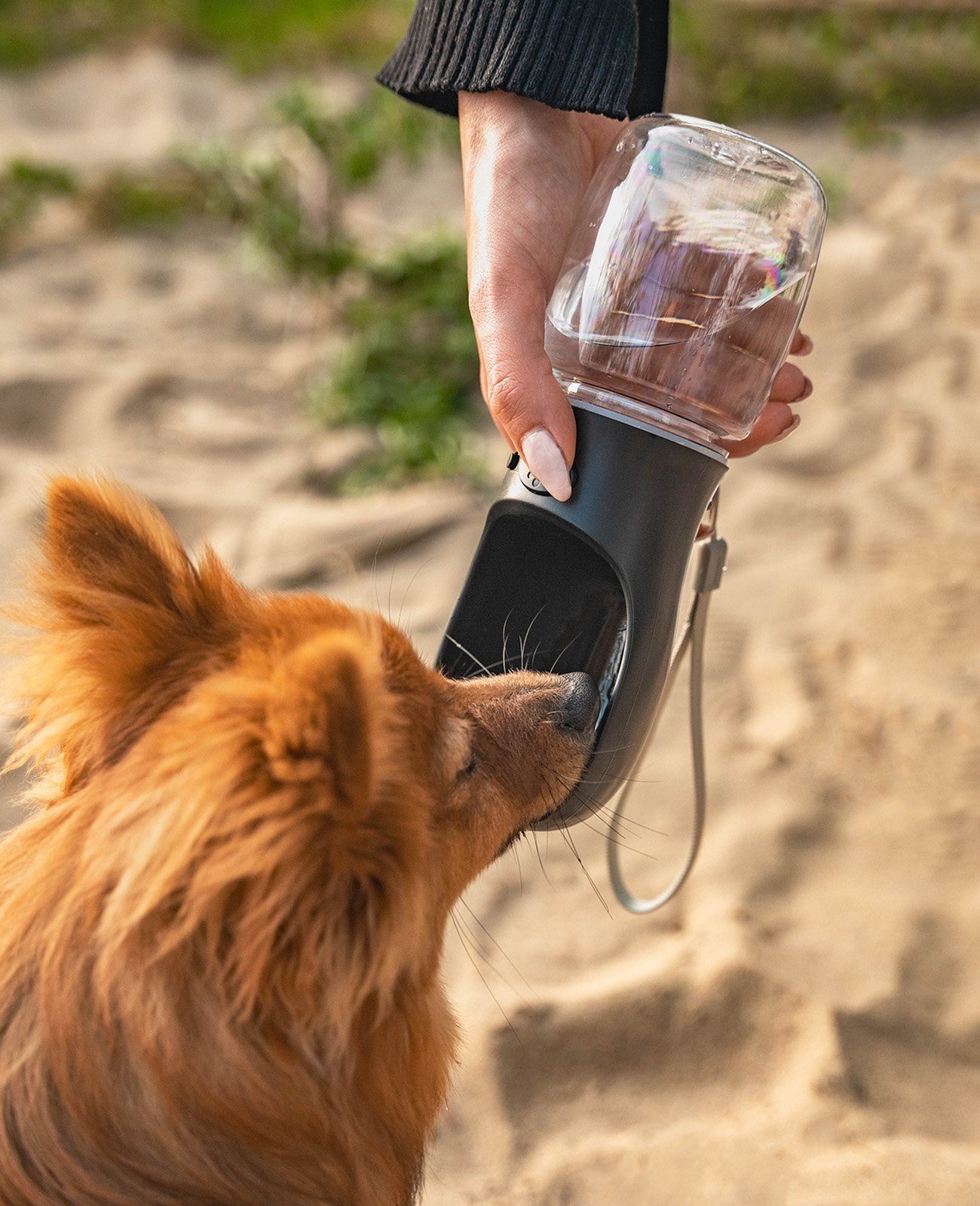 lionto Wasserspender für Hunde auf Spaziergängen & Reisen, schwarz 0.35 l, Trinkflasche auslaufsicher, leicht & hygienisch