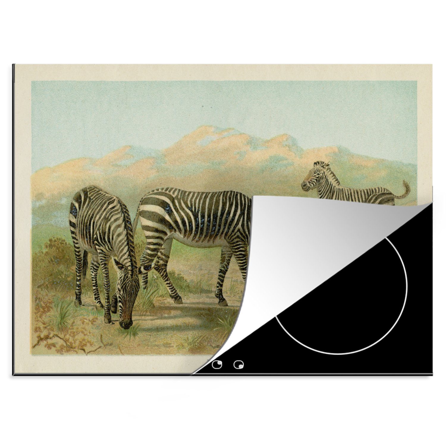 MuchoWow Herdblende-/Abdeckplatte Zebra - Antiquitäten - Illustration, Vinyl, (1 tlg), 70x52 cm, Mobile Arbeitsfläche nutzbar, Ceranfeldabdeckung