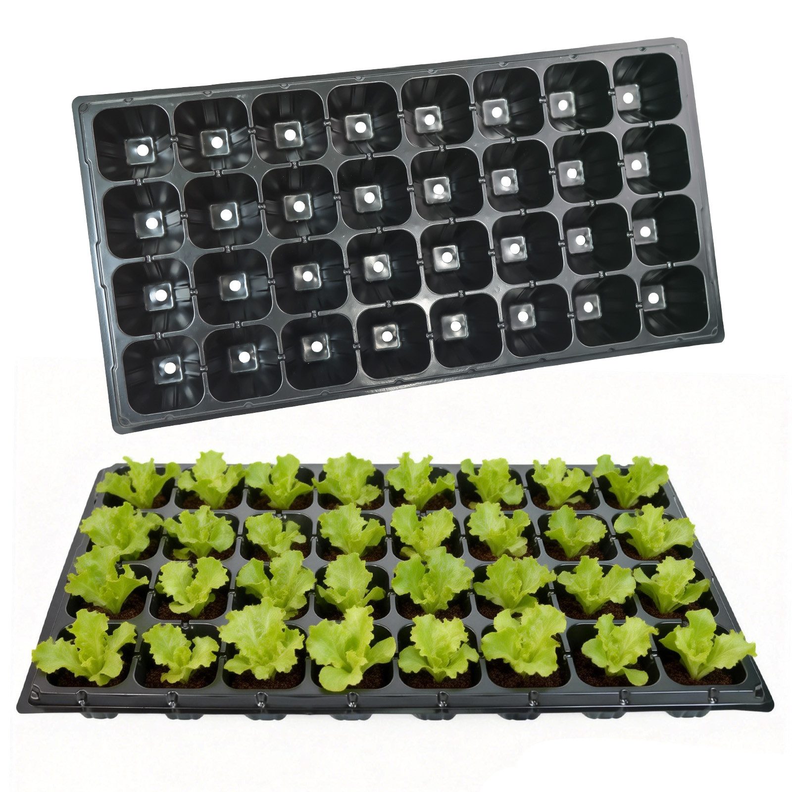 M&W DAS DESIGN Gewächshaus Anzuchttöpfe Anzuchtkasten Anzuchtschale Pflanzen10er Set 54x28cm