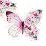 Bunt : Schmetterling / Blumen