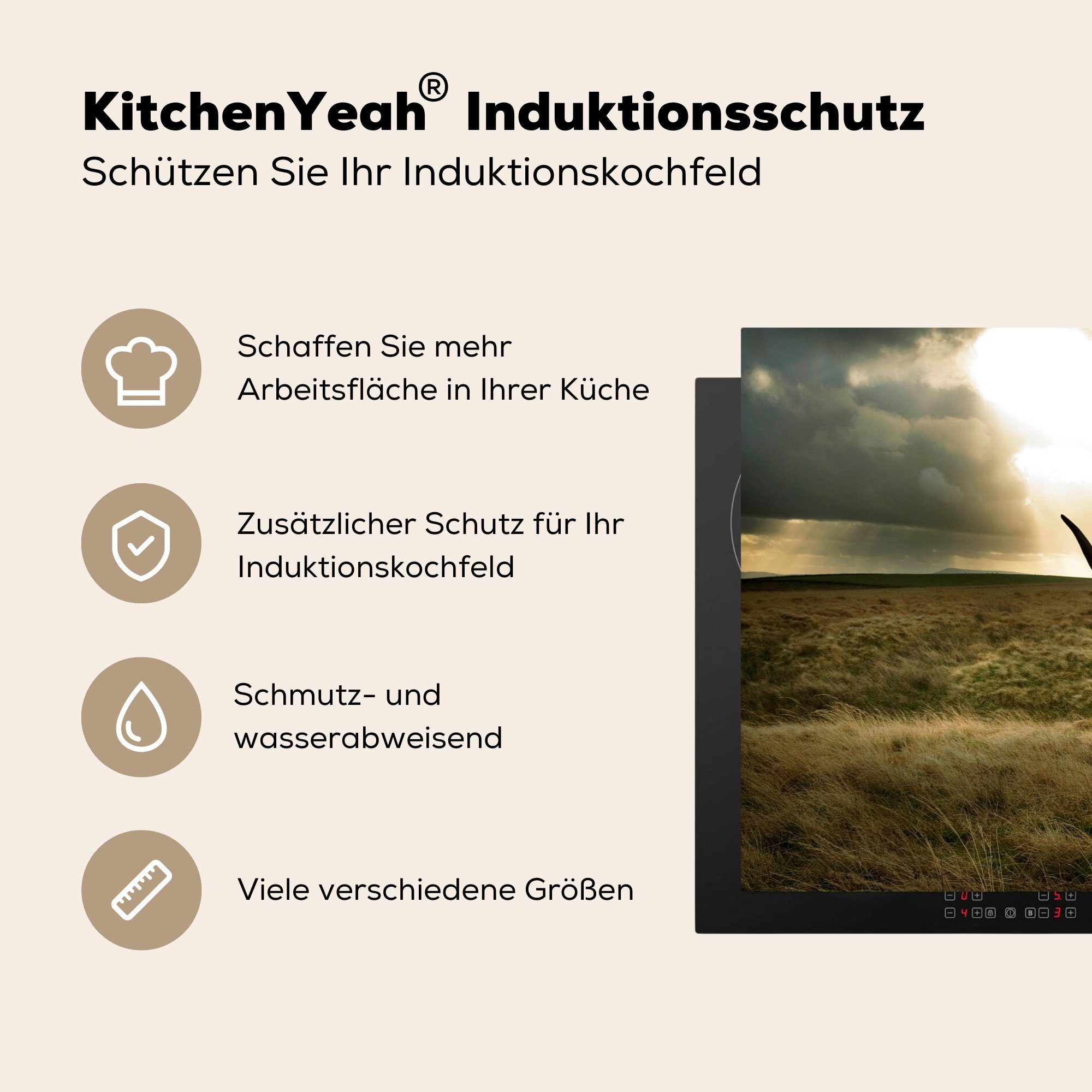 Gras, Hochländer Sonne Vinyl, - Induktionskochfeld küche, Schottischer Schutz die Ceranfeldabdeckung - (1 für 81x52 MuchoWow cm, Herdblende-/Abdeckplatte tlg),