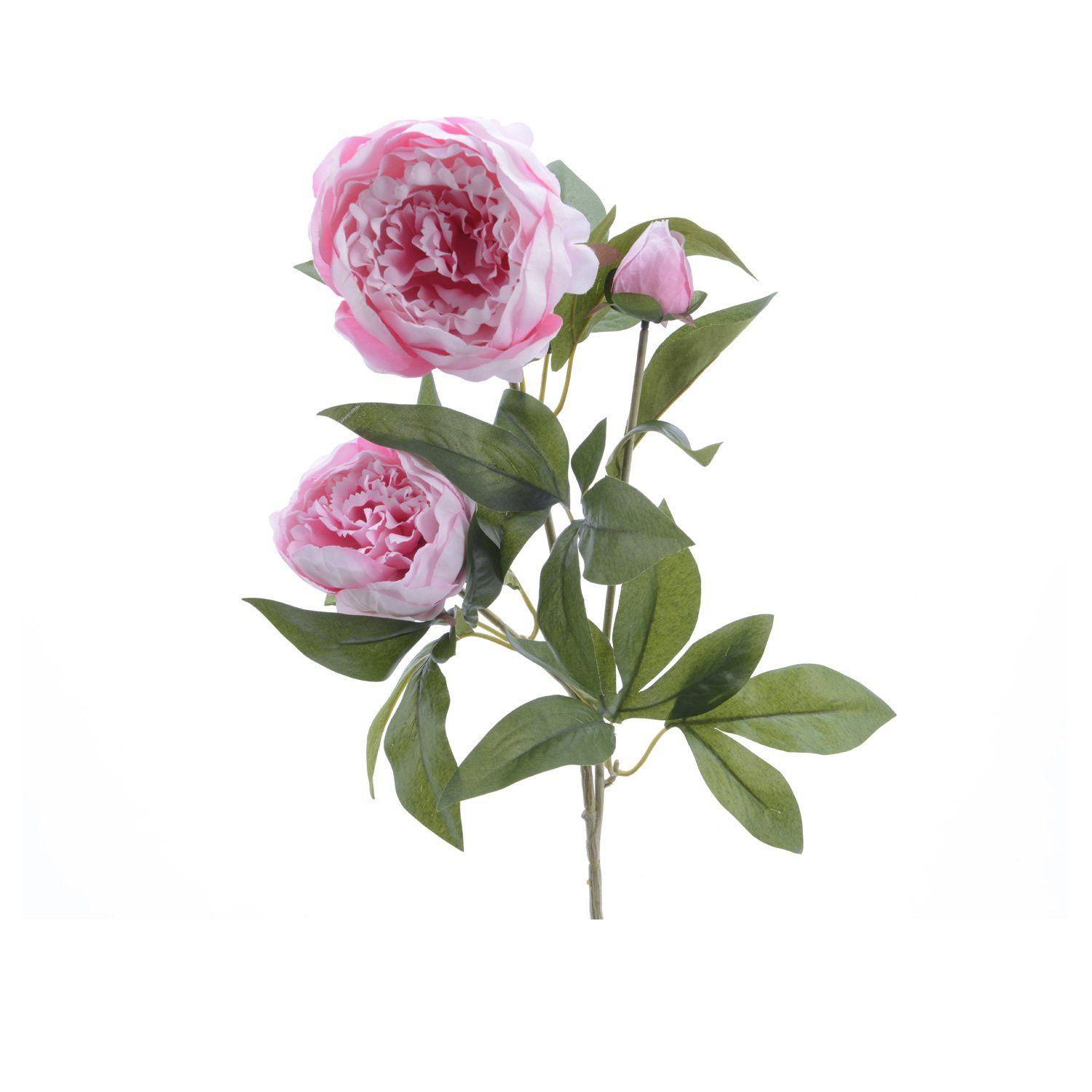 Kunstblume Pfingstrose Blüten und Knospe am günstig online kaufen