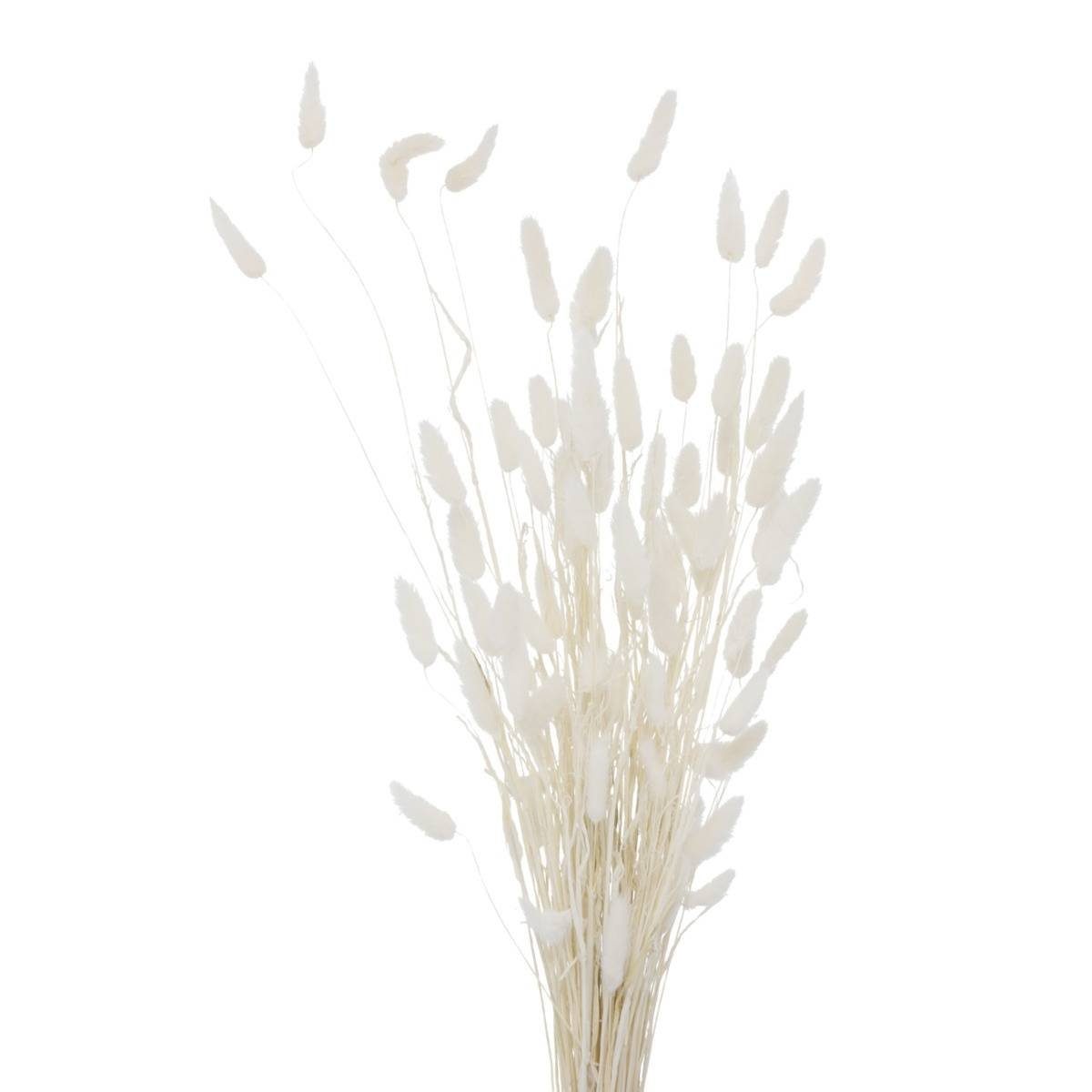 Kunstpflanze Zimmerpflanze, BOLTZE GRUPPE GmbH, Höhe 70 cm weiß
