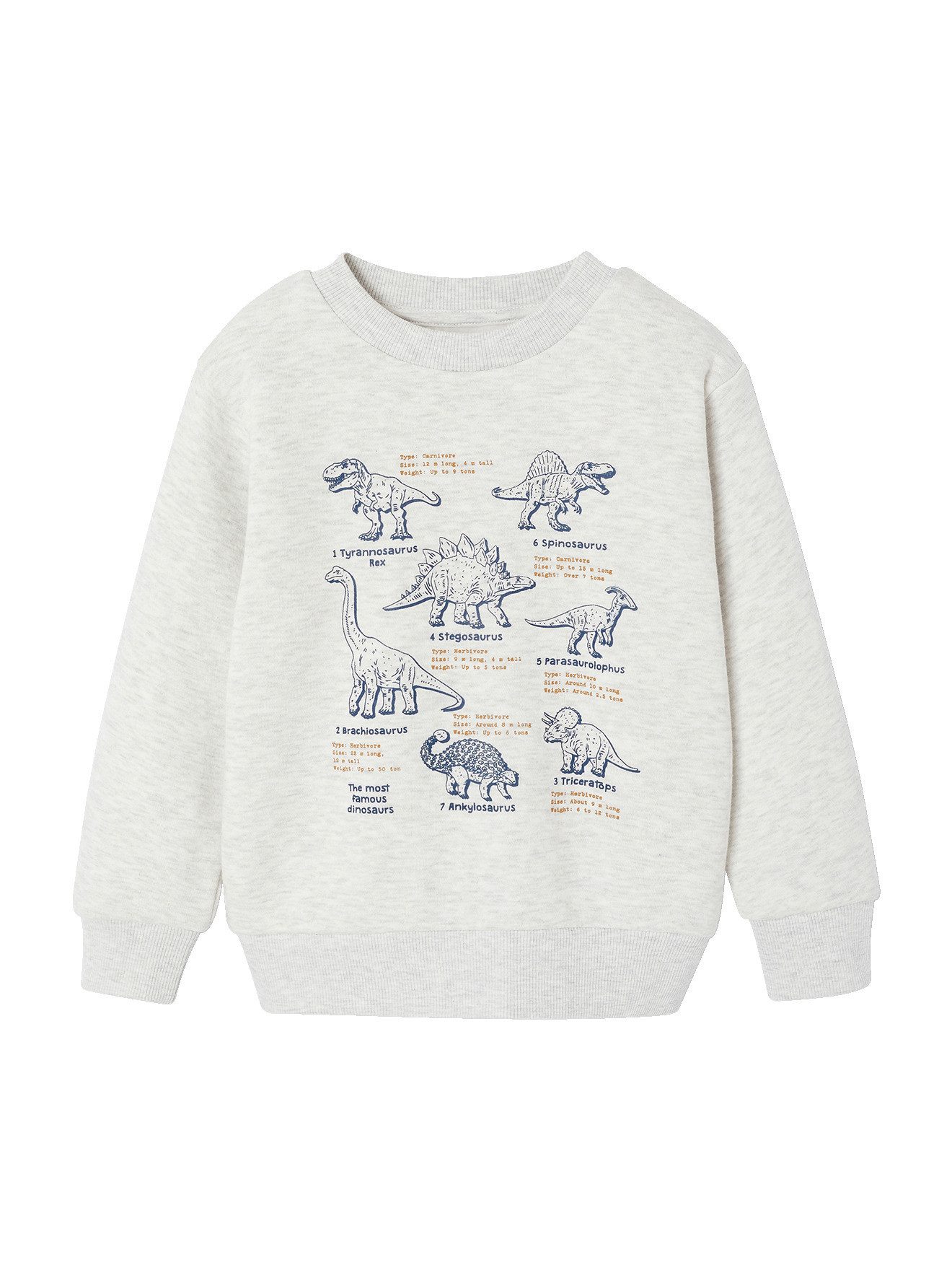 vertbaudet Fleecepullover Sweatshirt mit Frontprint Jungen BASIC