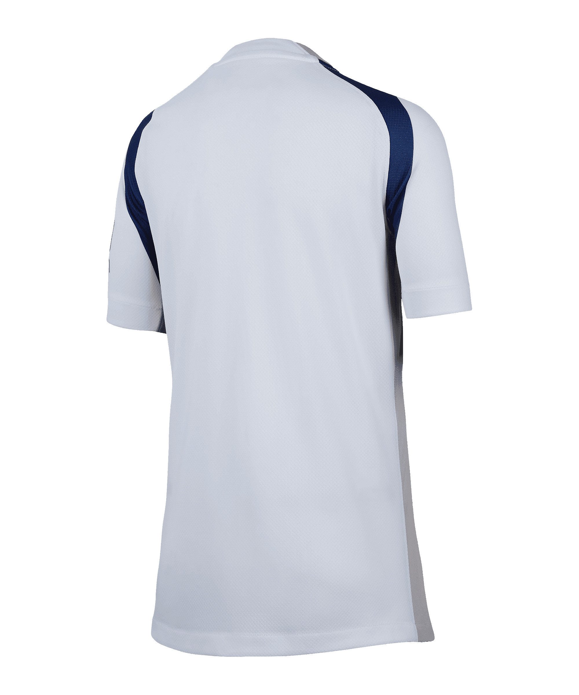 Nike Fußballtrikot Nike Performance Premier League